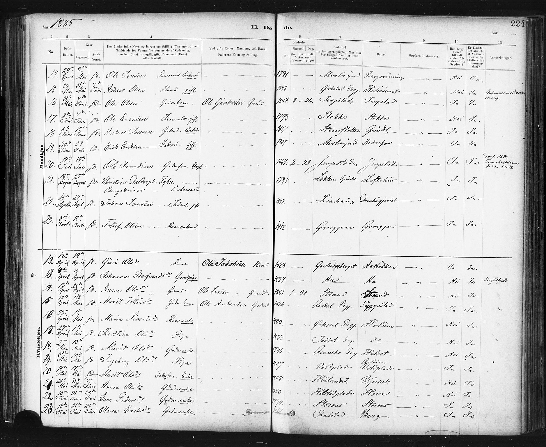 Ministerialprotokoller, klokkerbøker og fødselsregistre - Sør-Trøndelag, AV/SAT-A-1456/672/L0857: Parish register (official) no. 672A09, 1882-1893, p. 224