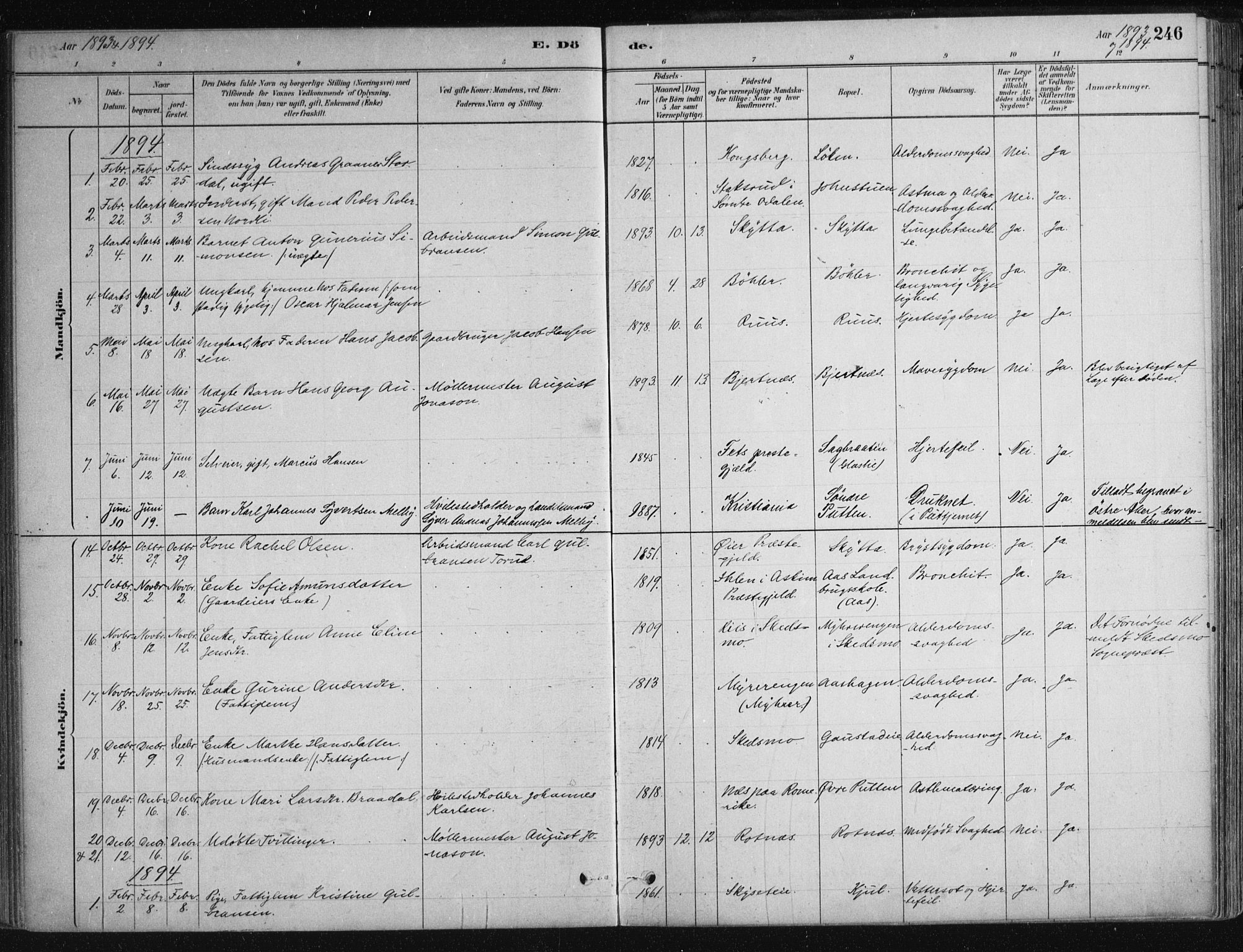 Nittedal prestekontor Kirkebøker, SAO/A-10365a/F/Fa/L0007: Parish register (official) no. I 7, 1879-1901, p. 246