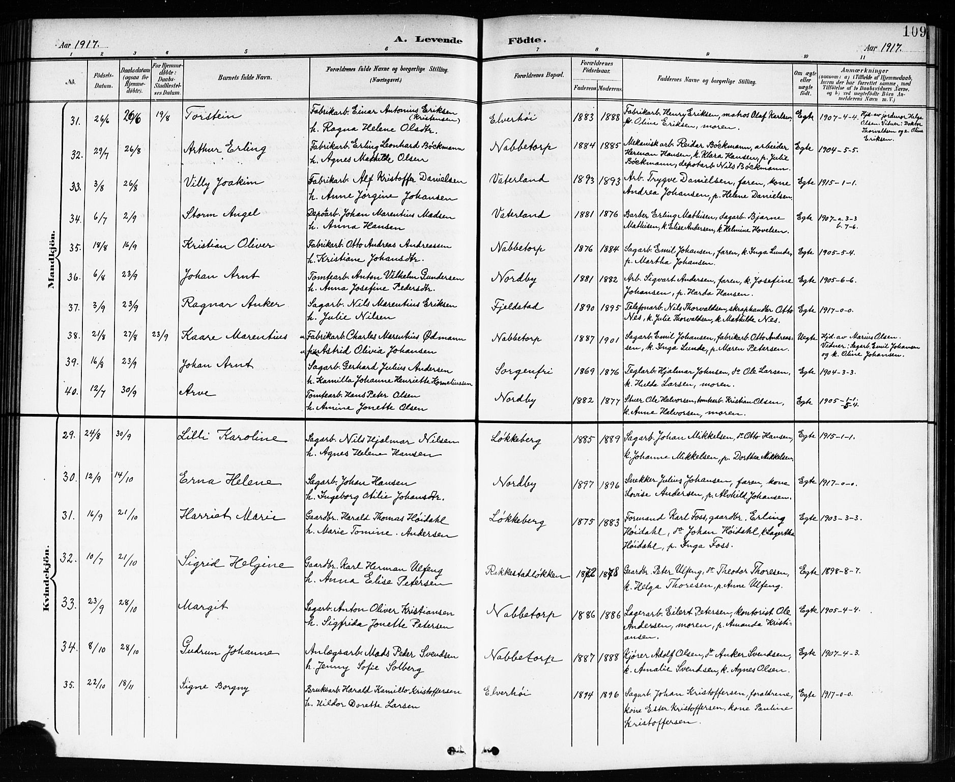 Østre Fredrikstad prestekontor Kirkebøker, AV/SAO-A-10907/G/Ga/L0002: Parish register (copy) no. 2, 1900-1919, p. 109