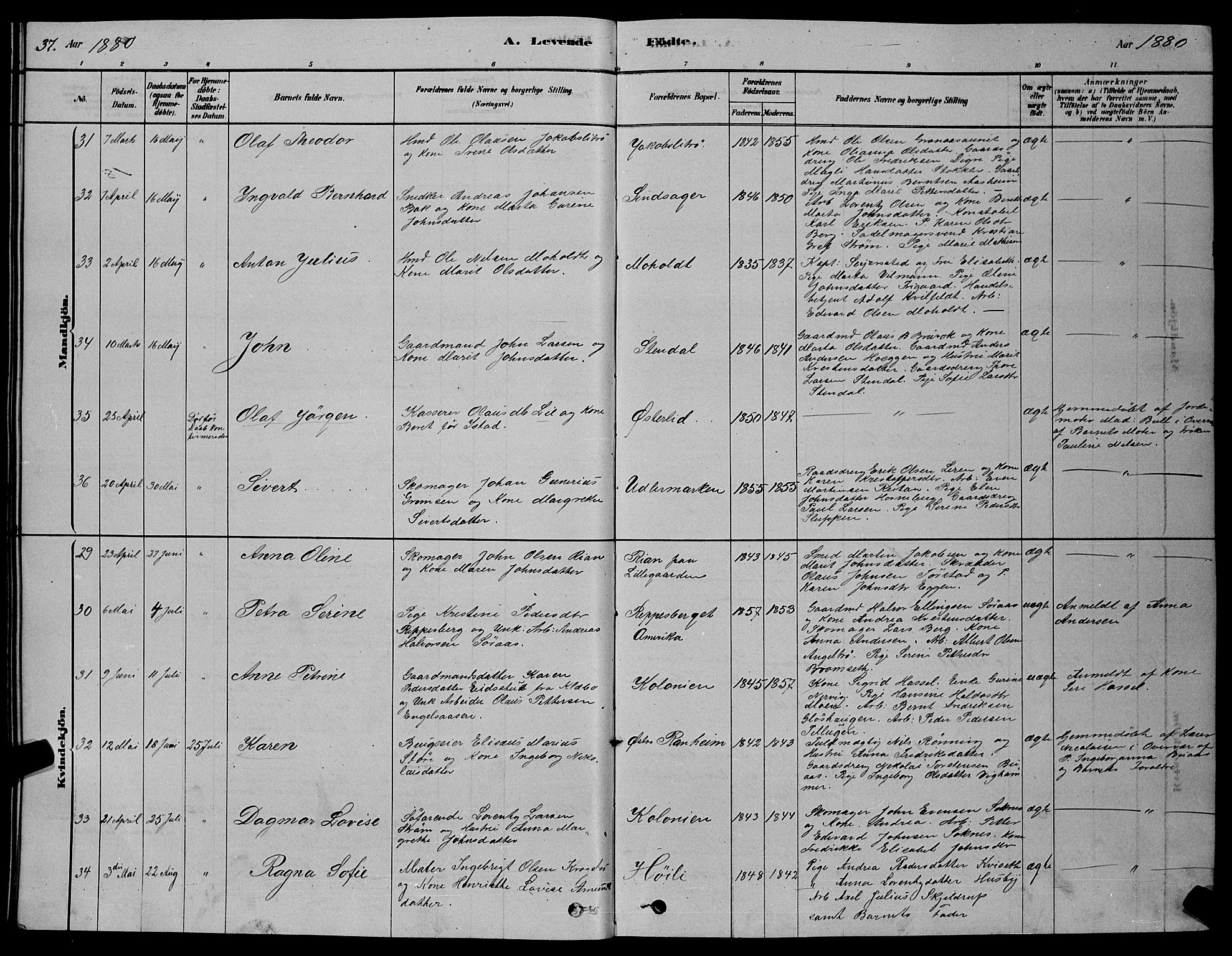 Ministerialprotokoller, klokkerbøker og fødselsregistre - Sør-Trøndelag, SAT/A-1456/606/L0312: Parish register (copy) no. 606C08, 1878-1894, p. 37