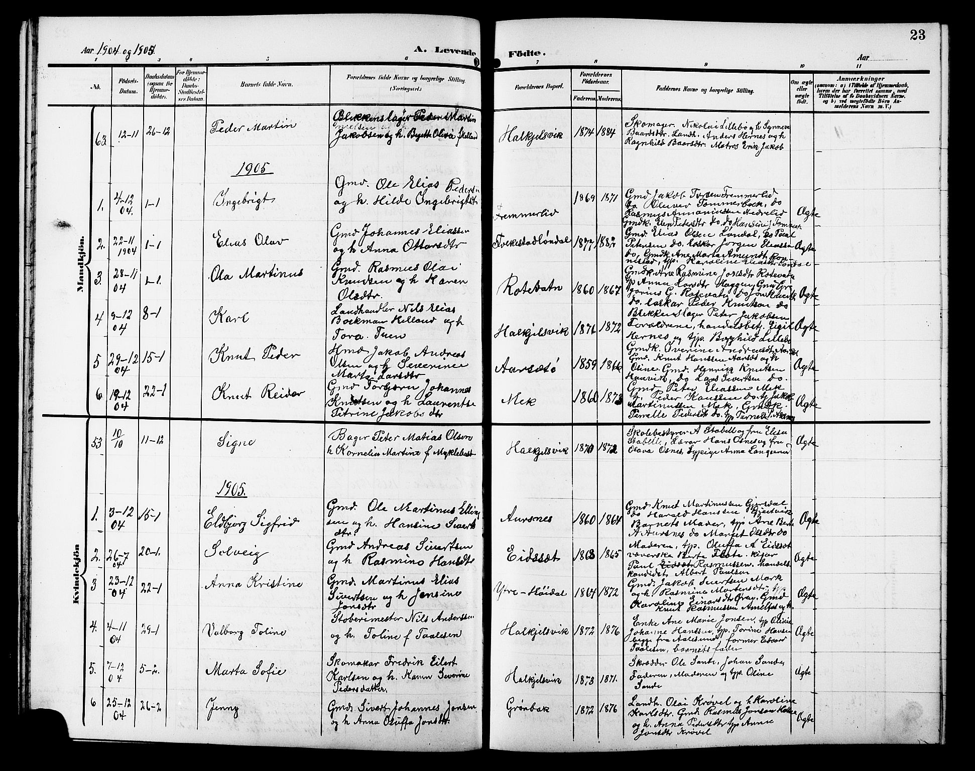 Ministerialprotokoller, klokkerbøker og fødselsregistre - Møre og Romsdal, AV/SAT-A-1454/511/L0159: Parish register (copy) no. 511C05, 1902-1920, p. 23