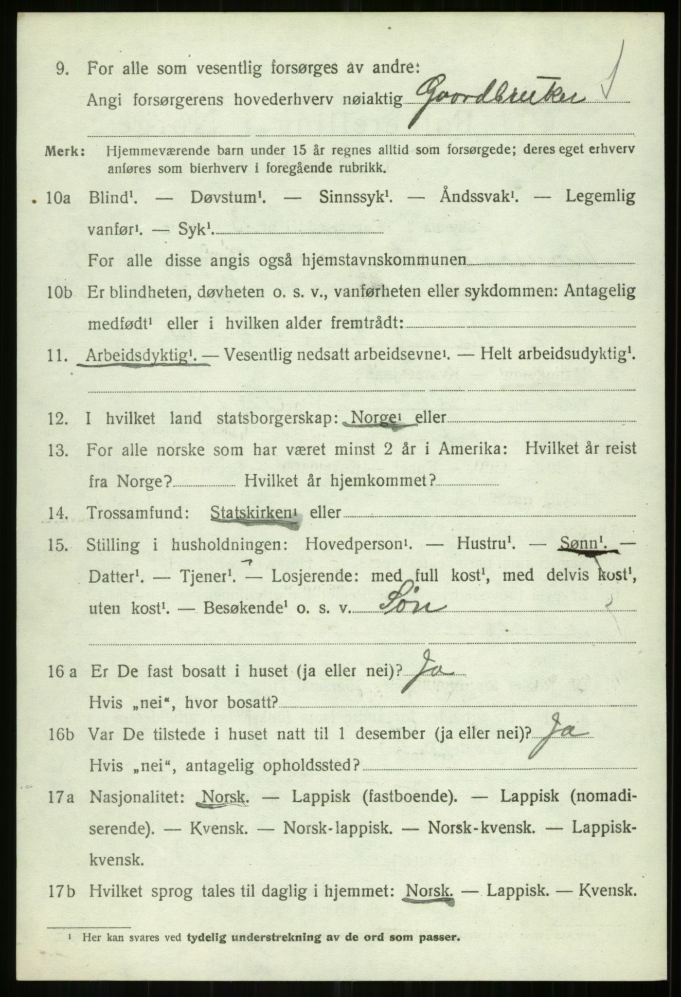 SATØ, 1920 census for Tromsøysund, 1920, p. 14247