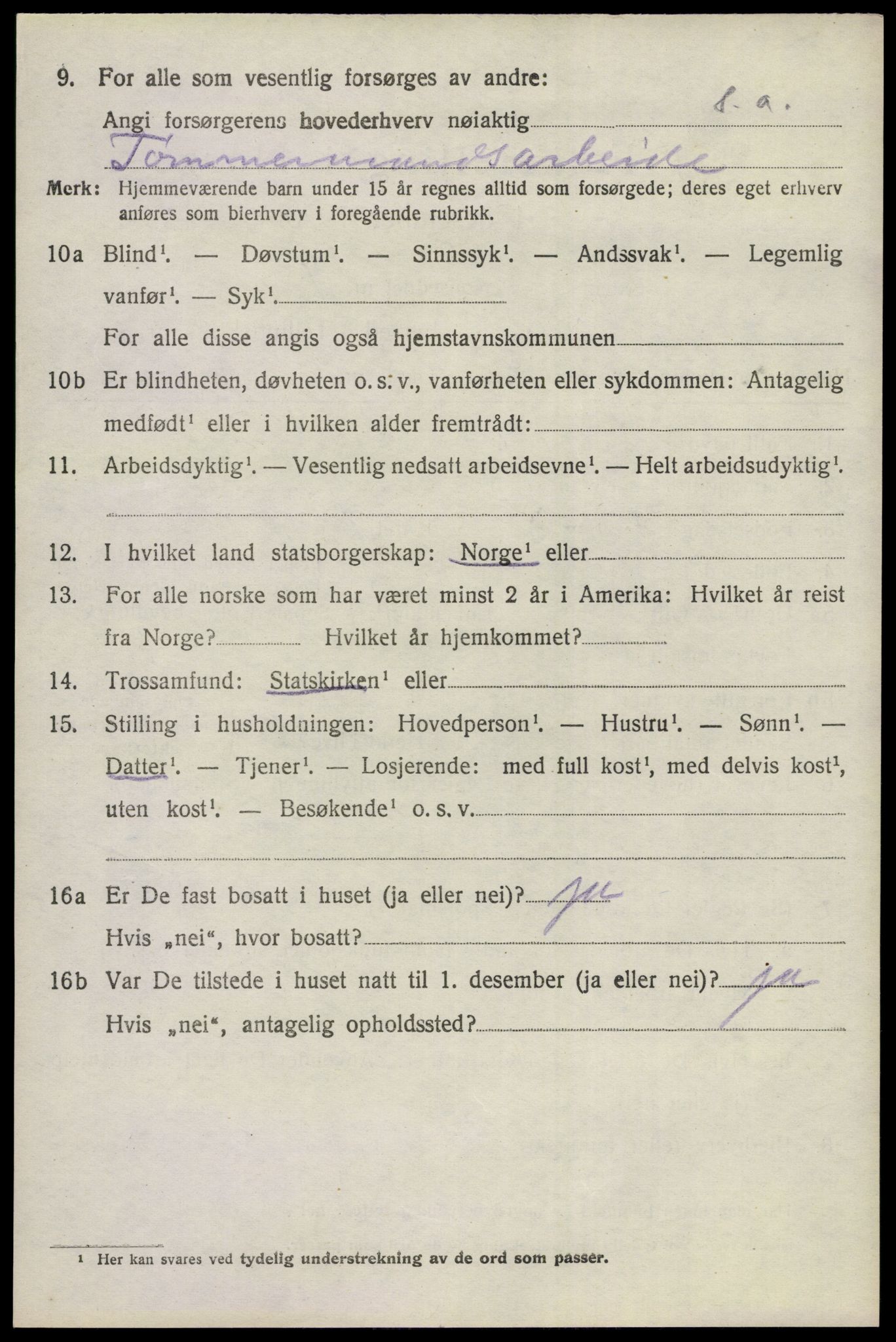 SAKO, 1920 census for Nes (Buskerud), 1920, p. 5917