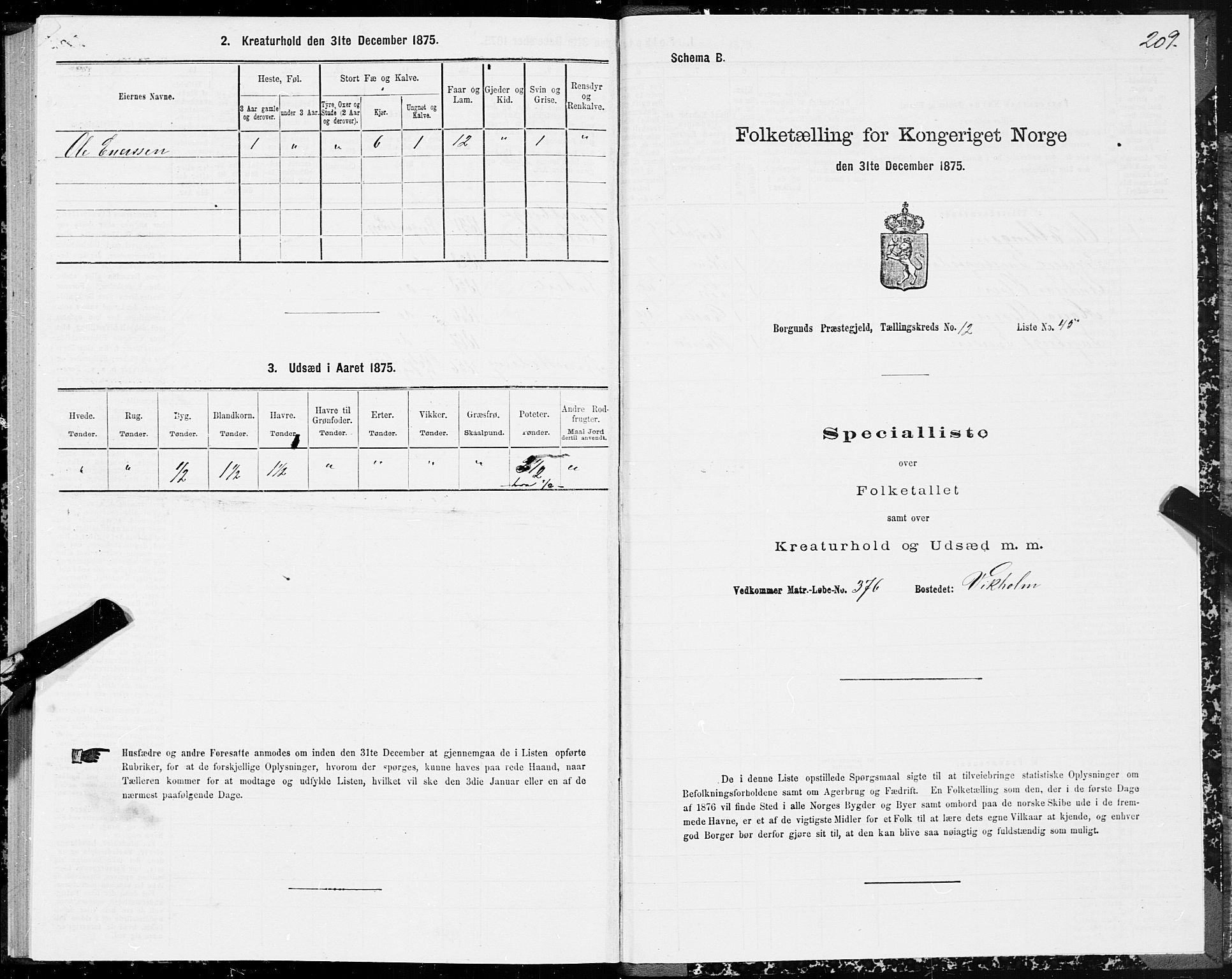 SAT, 1875 census for 1531P Borgund, 1875, p. 6209