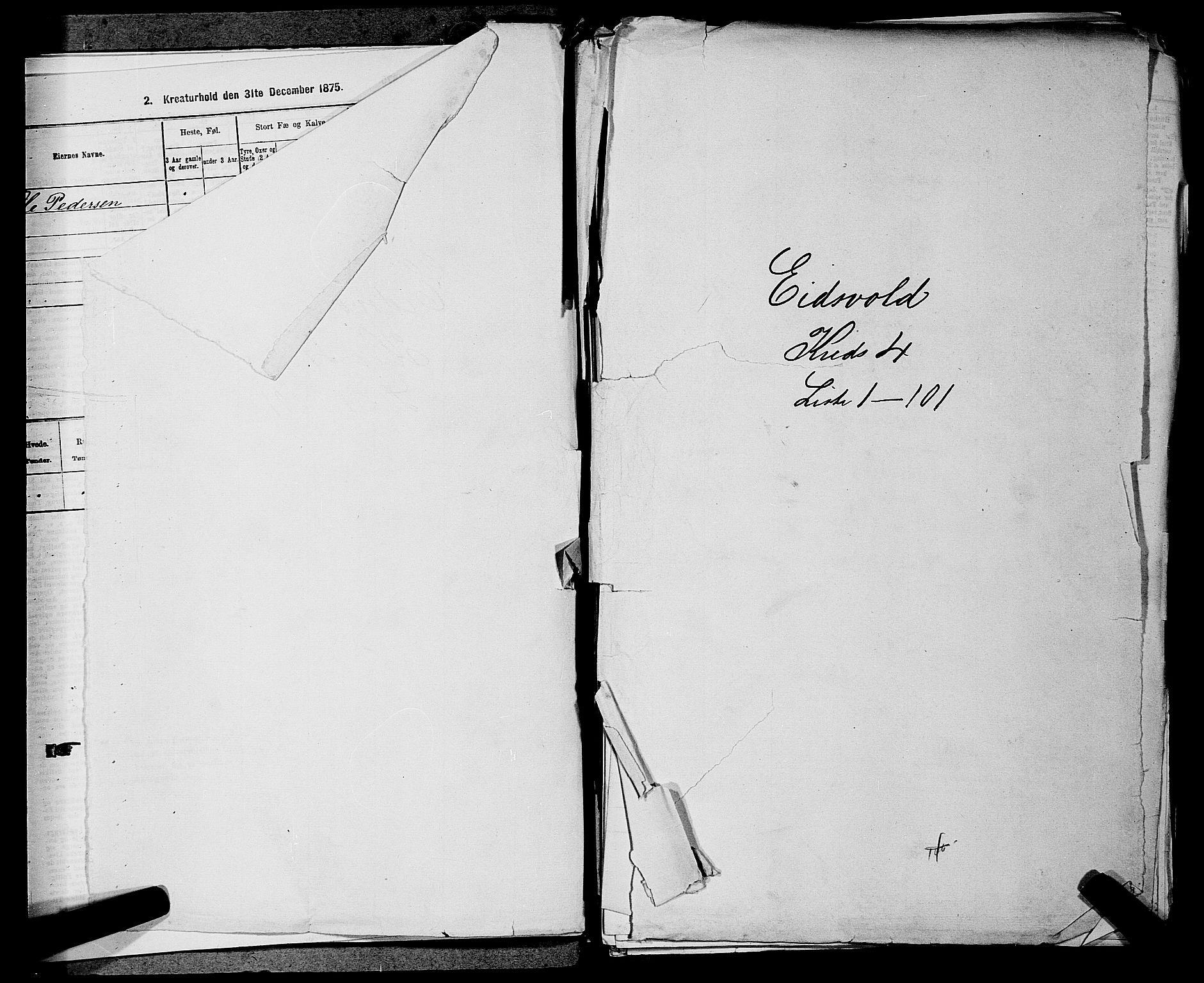 RA, 1875 census for 0237P Eidsvoll, 1875, p. 457