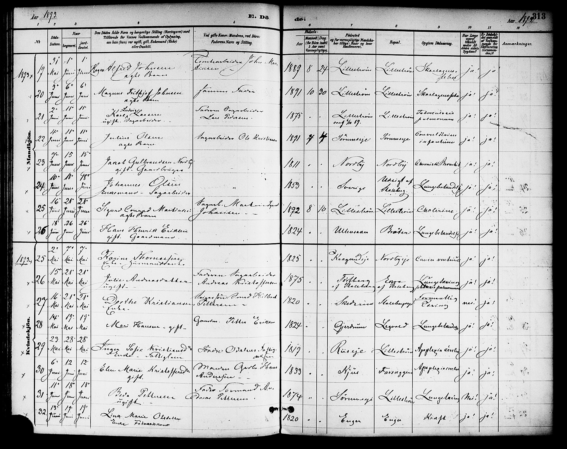 Skedsmo prestekontor Kirkebøker, AV/SAO-A-10033a/F/Fa/L0014: Parish register (official) no. I 14, 1892-1901, p. 313