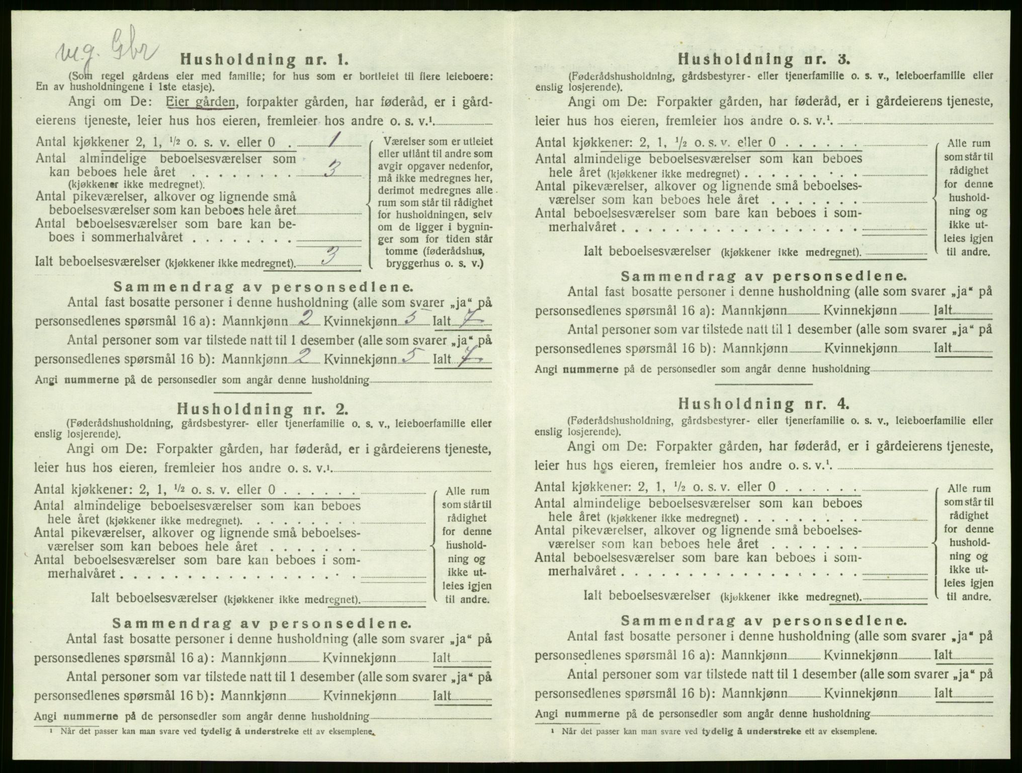 SAKO, 1920 census for Lier, 1920, p. 2012