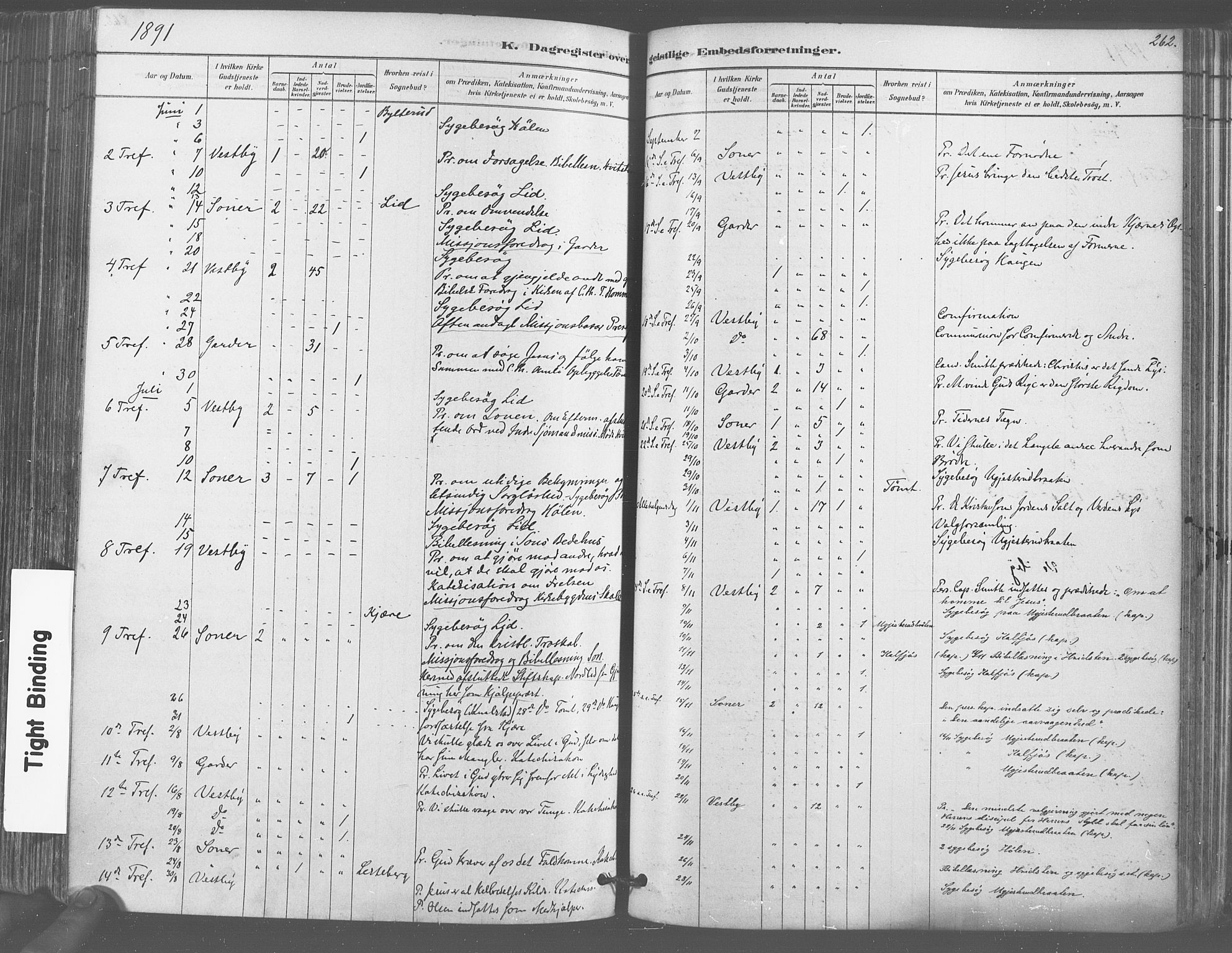 Vestby prestekontor Kirkebøker, AV/SAO-A-10893/F/Fa/L0009: Parish register (official) no. I 9, 1878-1900, p. 262