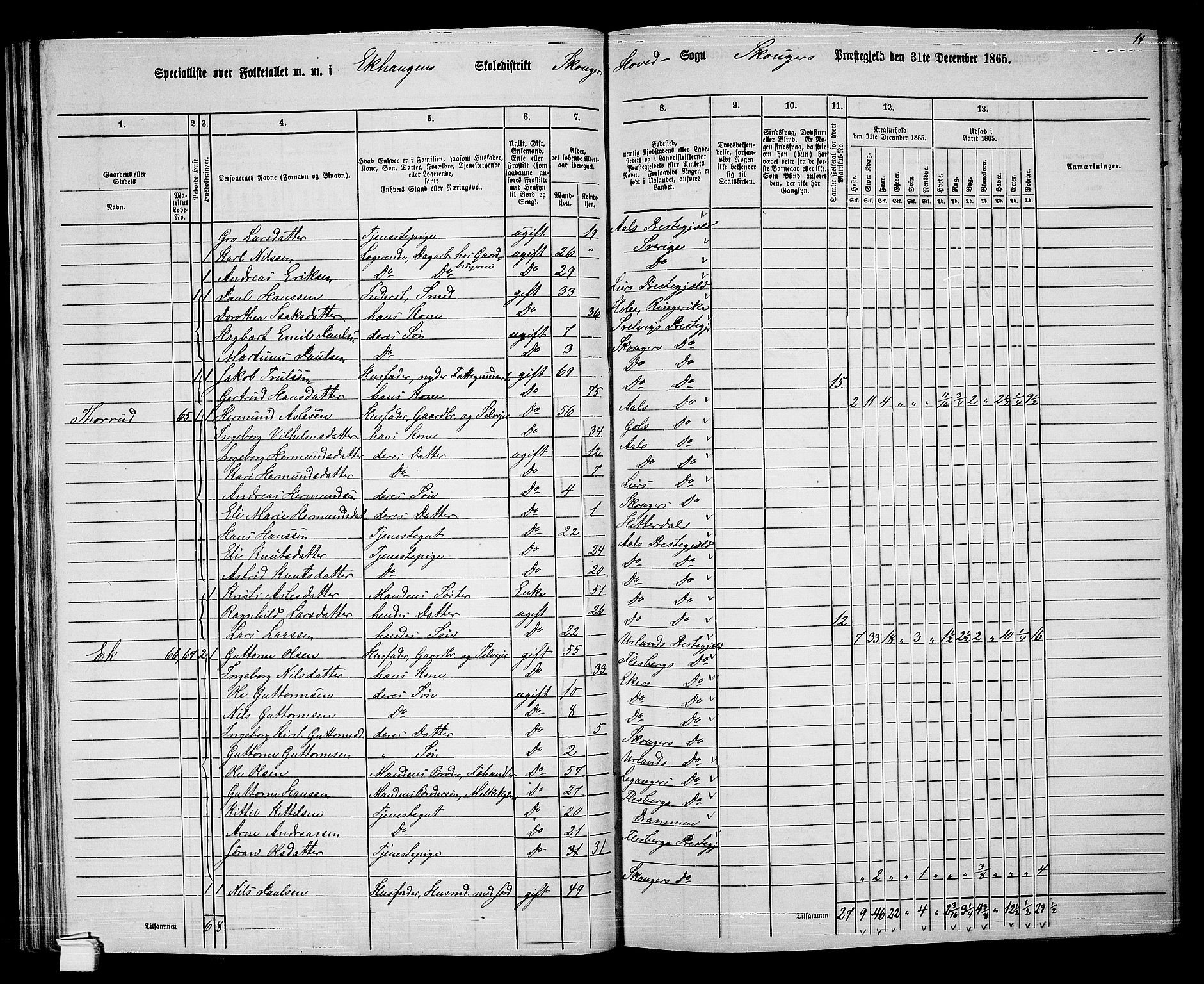 RA, 1865 census for Skoger, 1865, p. 54