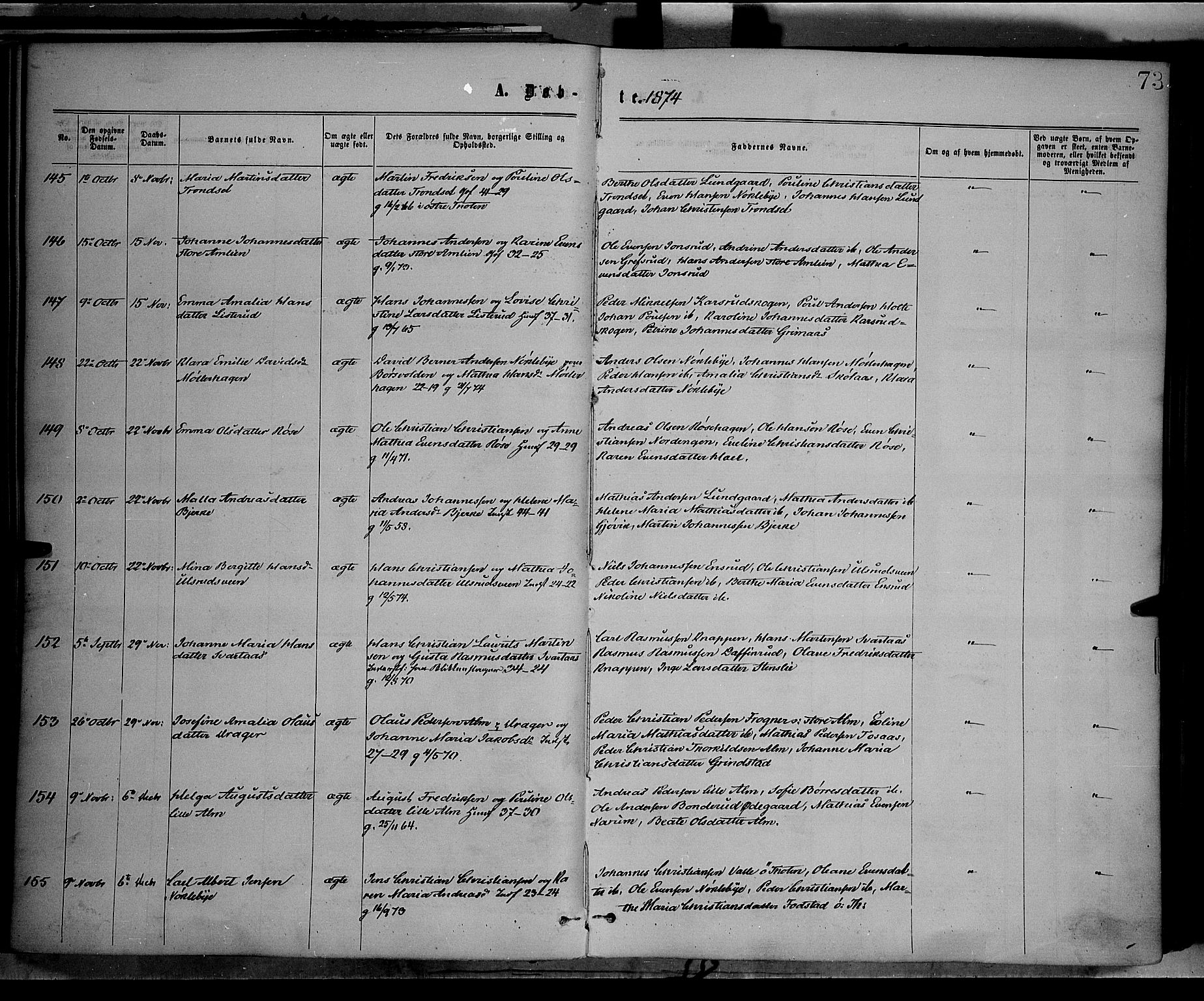 Vestre Toten prestekontor, AV/SAH-PREST-108/H/Ha/Haa/L0008: Parish register (official) no. 8, 1870-1877, p. 73