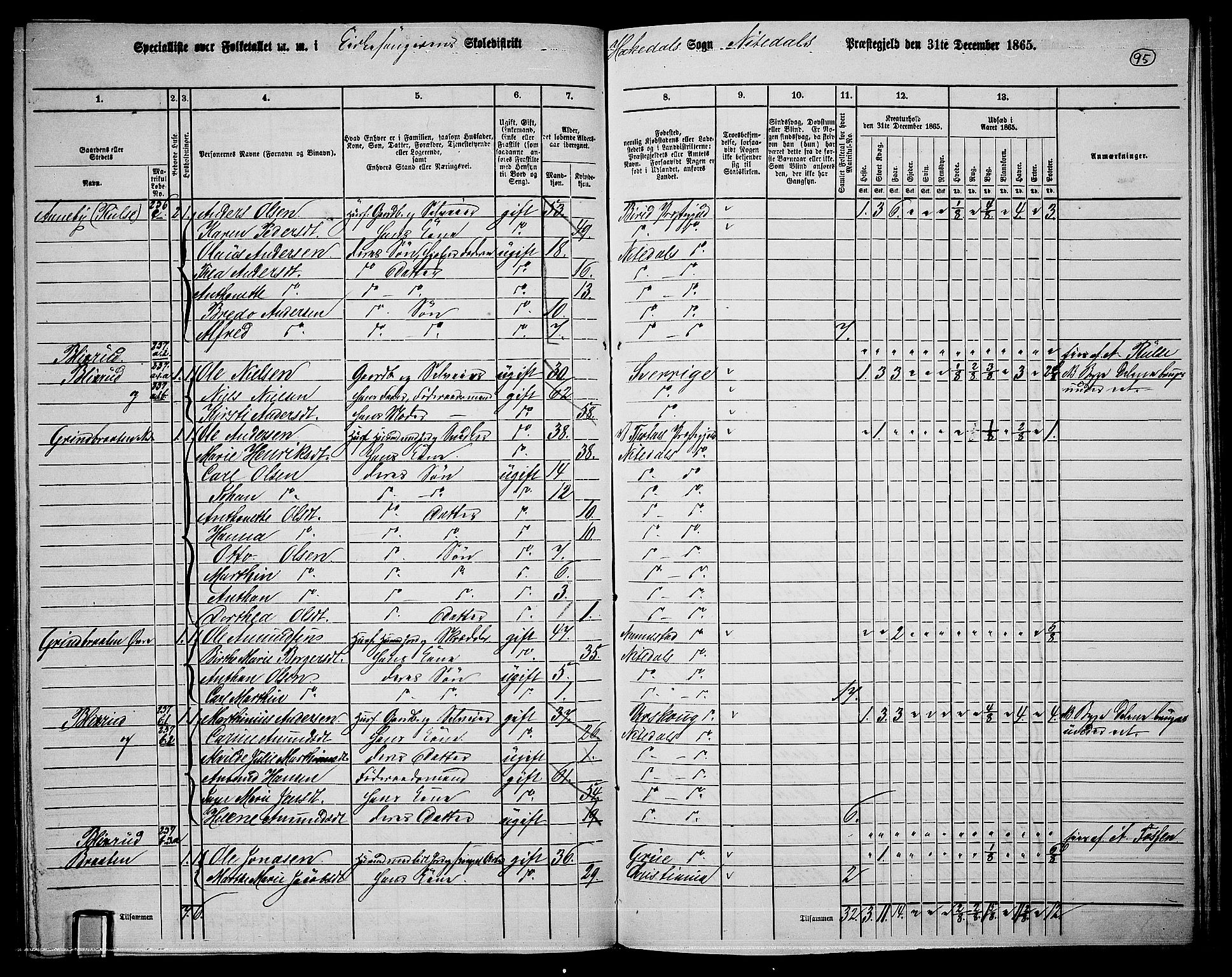 RA, 1865 census for Nittedal, 1865, p. 81