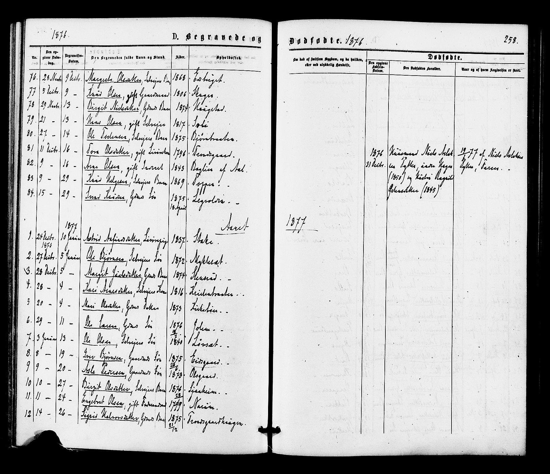 Gol kirkebøker, AV/SAKO-A-226/F/Fa/L0004: Parish register (official) no. I 4, 1876-1886, p. 258