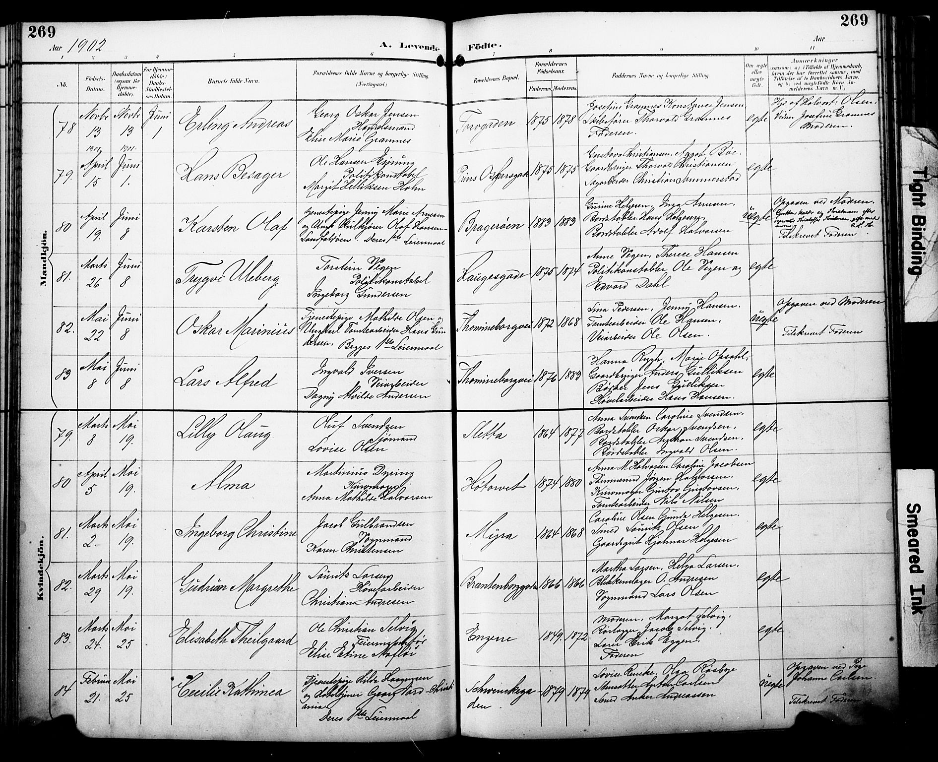 Bragernes kirkebøker, AV/SAKO-A-6/F/Fb/L0008: Parish register (official) no. II 8, 1894-1902, p. 269