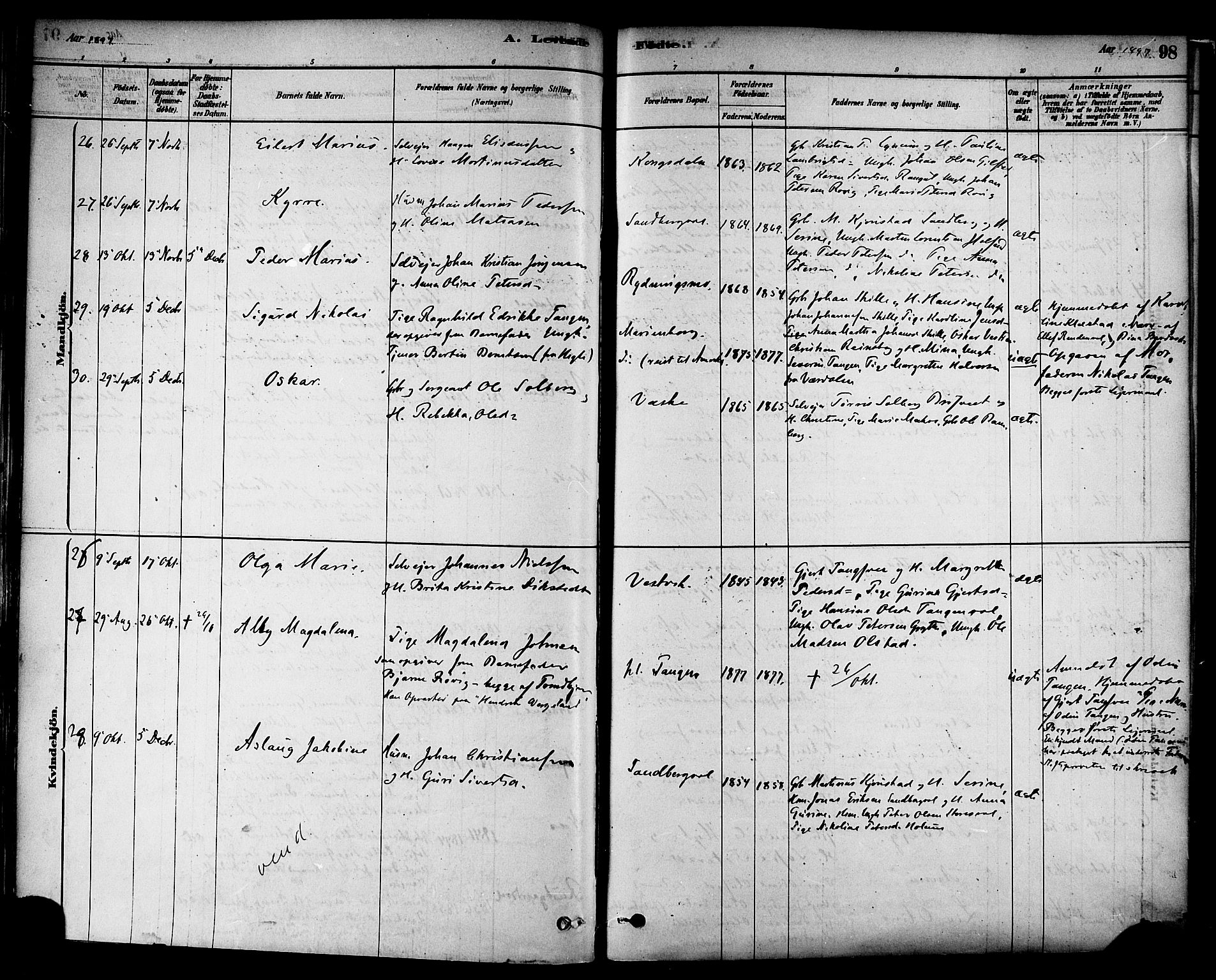 Ministerialprotokoller, klokkerbøker og fødselsregistre - Nord-Trøndelag, SAT/A-1458/717/L0159: Parish register (official) no. 717A09, 1878-1898, p. 98