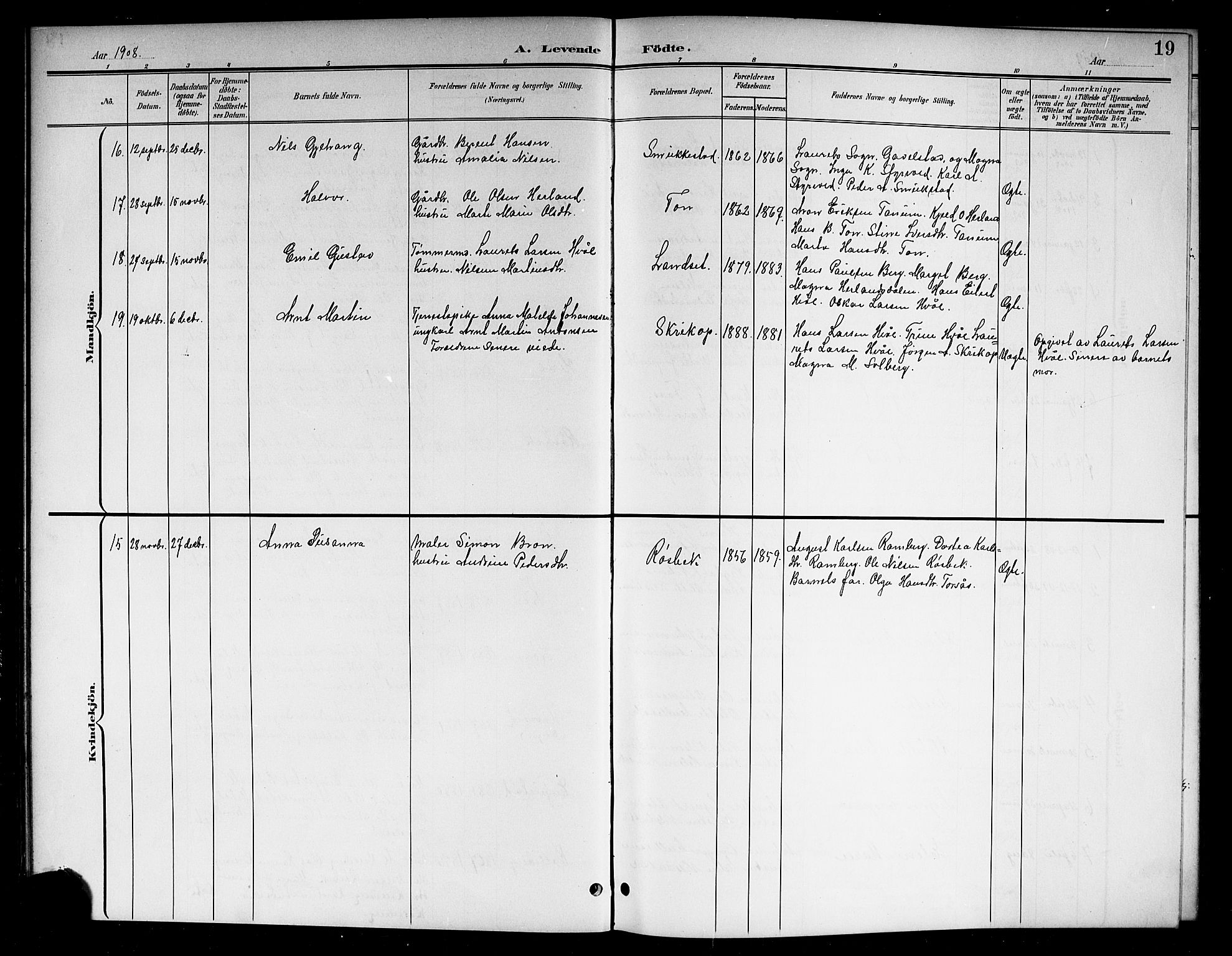 Lardal kirkebøker, AV/SAKO-A-350/G/Ga/L0002: Parish register (copy) no. I 2, 1901-1916, p. 19