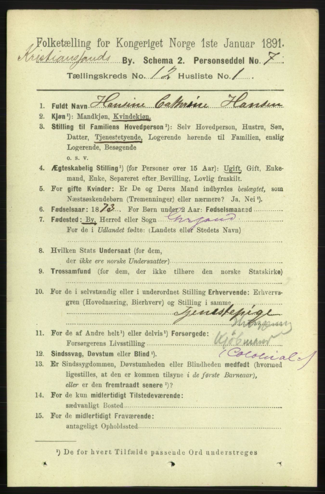 RA, 1891 census for 1001 Kristiansand, 1891, p. 6008