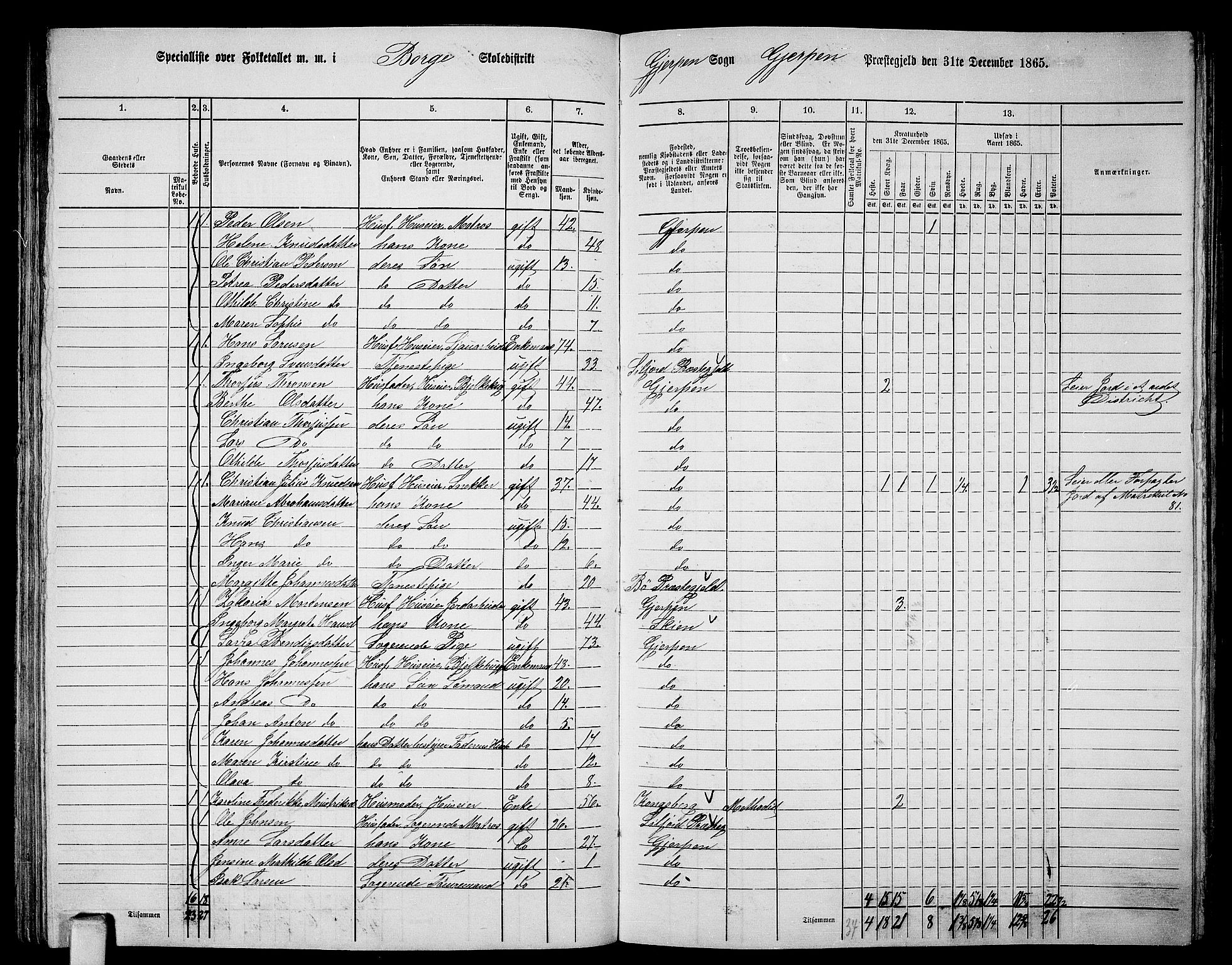 RA, 1865 census for Gjerpen, 1865, p. 142