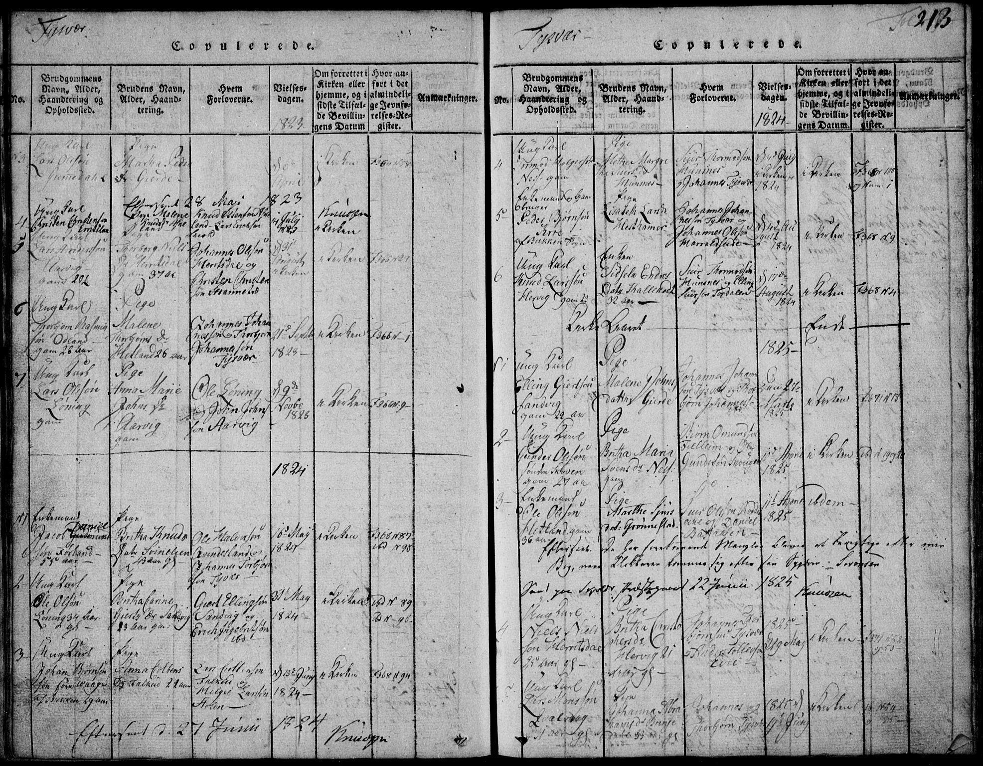 Skjold sokneprestkontor, AV/SAST-A-101847/H/Ha/Hab/L0002: Parish register (copy) no. B 2 /1, 1815-1830, p. 213
