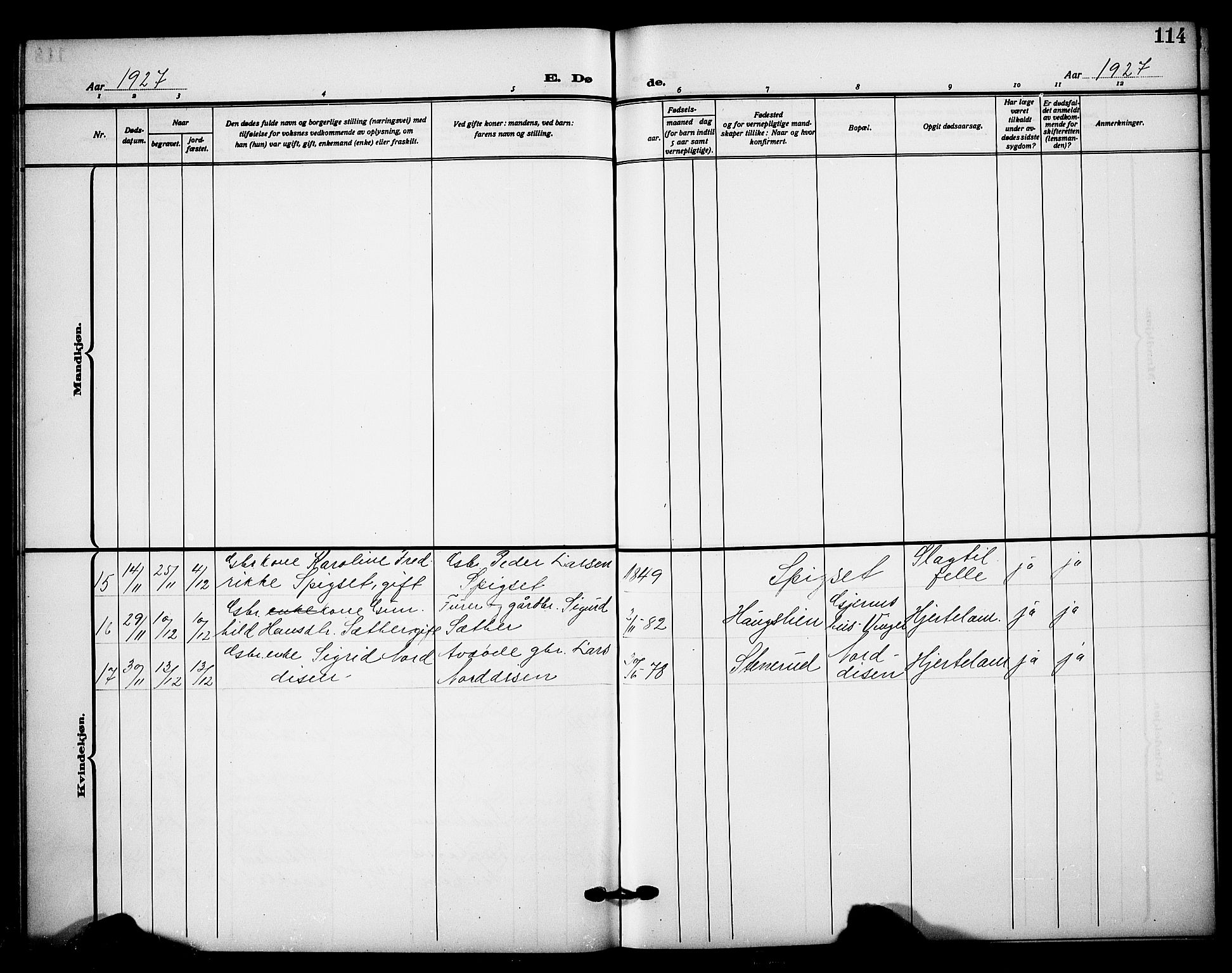 Sør-Odal prestekontor, SAH/PREST-030/H/Ha/Hab/L0009: Parish register (copy) no. 9, 1915-1927, p. 114