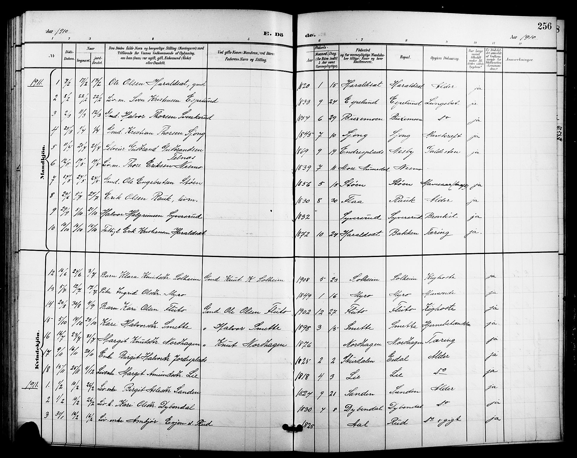 Nes kirkebøker, SAKO/A-236/G/Ga/L0004: Parish register (copy) no. I 4, 1900-1925, p. 256
