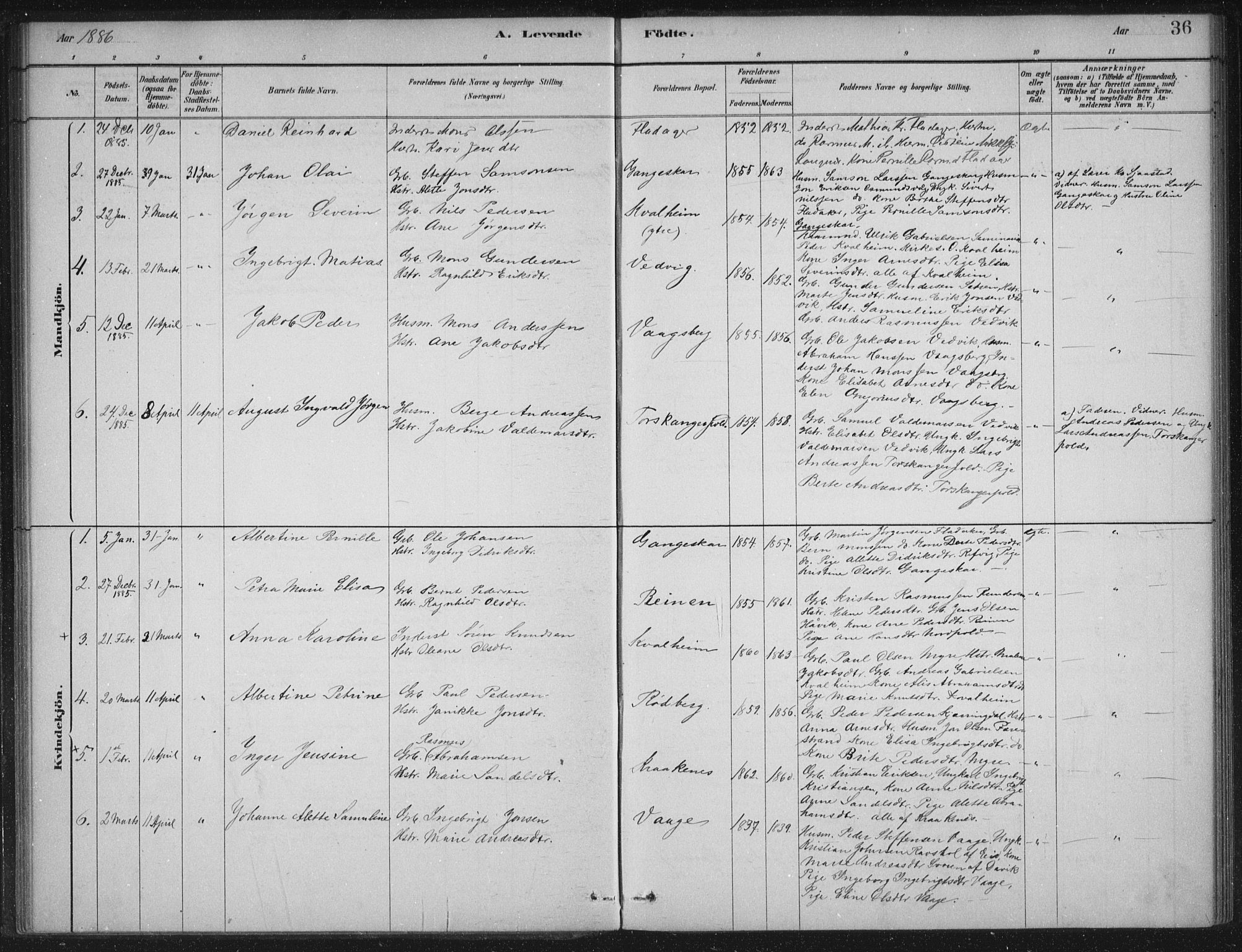 Selje sokneprestembete, AV/SAB-A-99938/H/Ha/Haa/Haac/L0001: Parish register (official) no. C  1, 1881-1888, p. 36