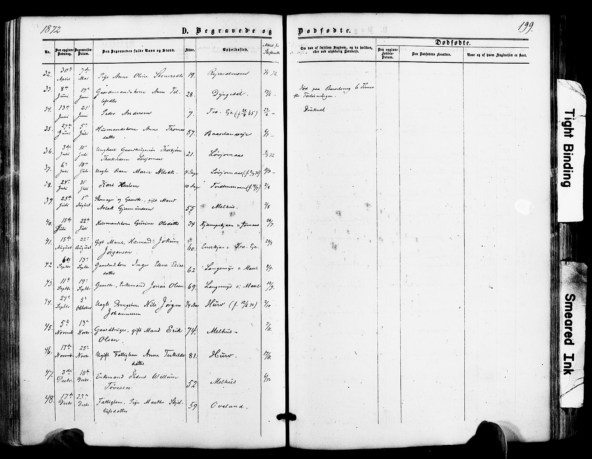 Froland sokneprestkontor, SAK/1111-0013/F/Fa/L0003: Parish register (official) no. A 3, 1864-1881, p. 199