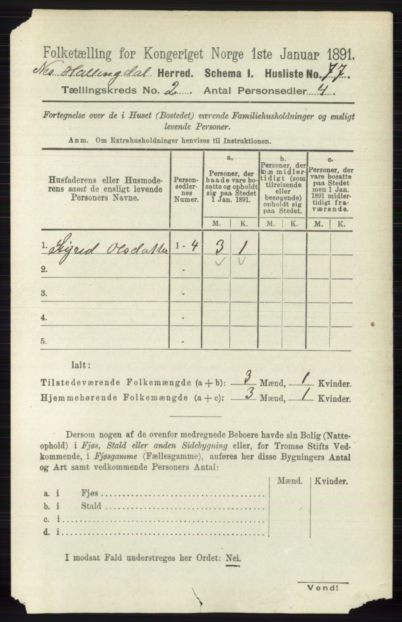 RA, 1891 census for 0616 Nes, 1891, p. 987