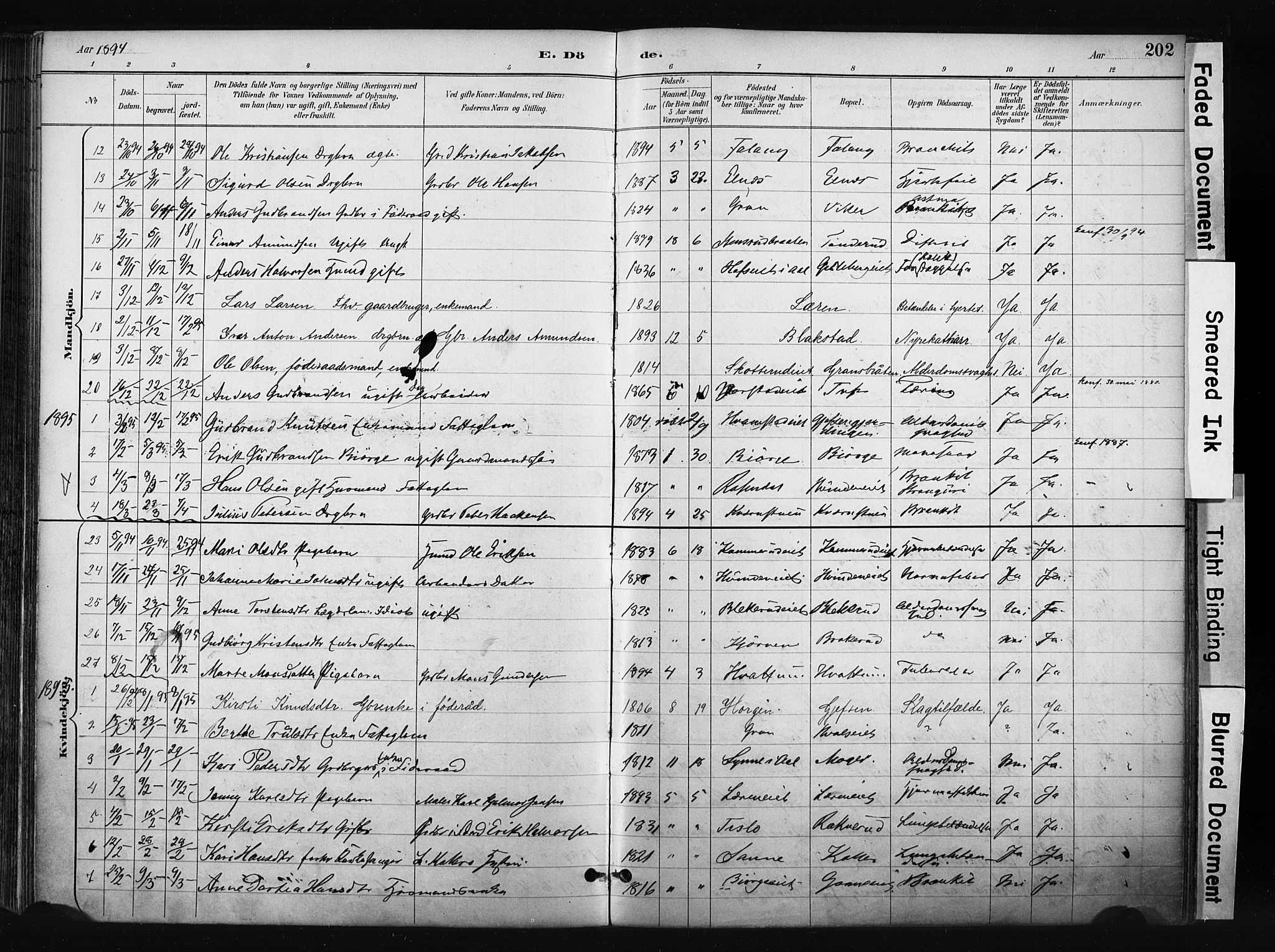 Gran prestekontor, SAH/PREST-112/H/Ha/Haa/L0017: Parish register (official) no. 17, 1889-1897, p. 202