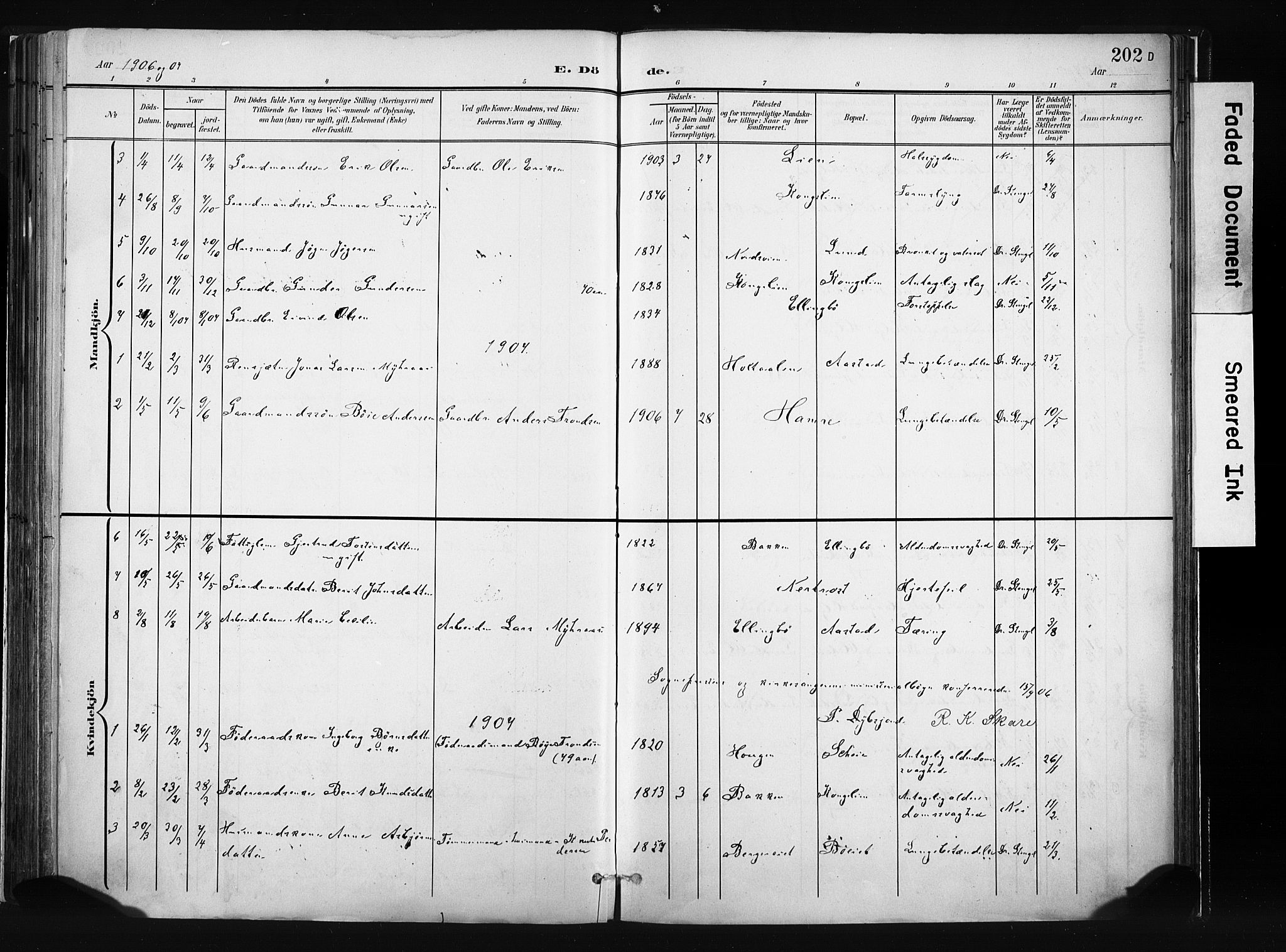 Vang prestekontor, Valdres, SAH/PREST-140/H/Ha/L0008: Parish register (official) no. 8, 1882-1910, p. 202