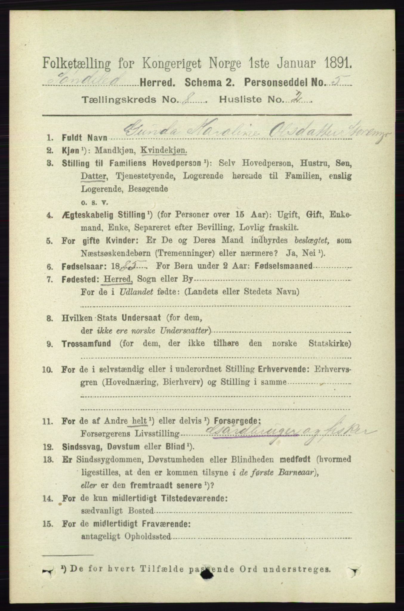 RA, 1891 census for 0913 Søndeled, 1891, p. 2582