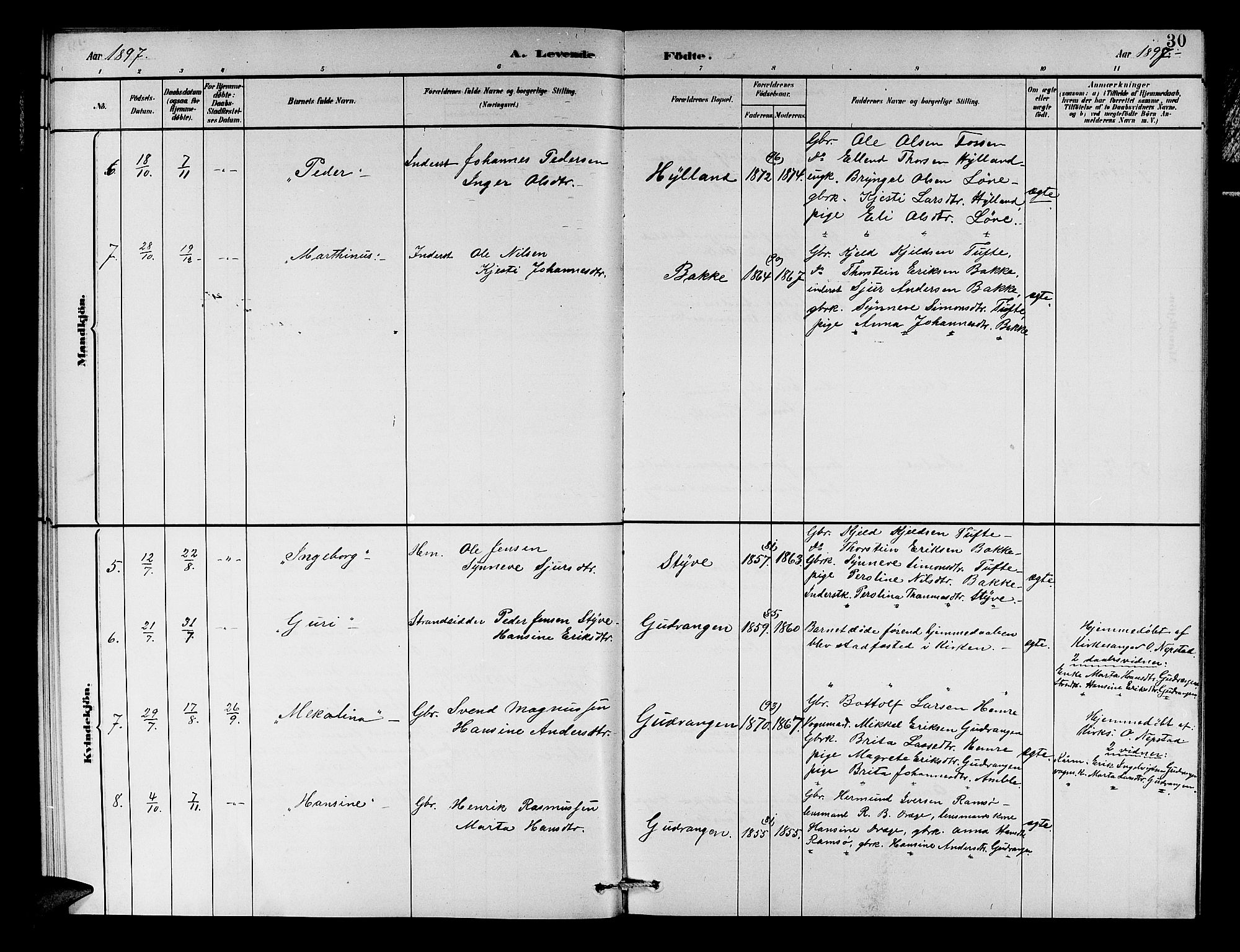 Aurland sokneprestembete, SAB/A-99937/H/Hb/Hbc/L0002: Parish register (copy) no. C 2, 1883-1900, p. 30
