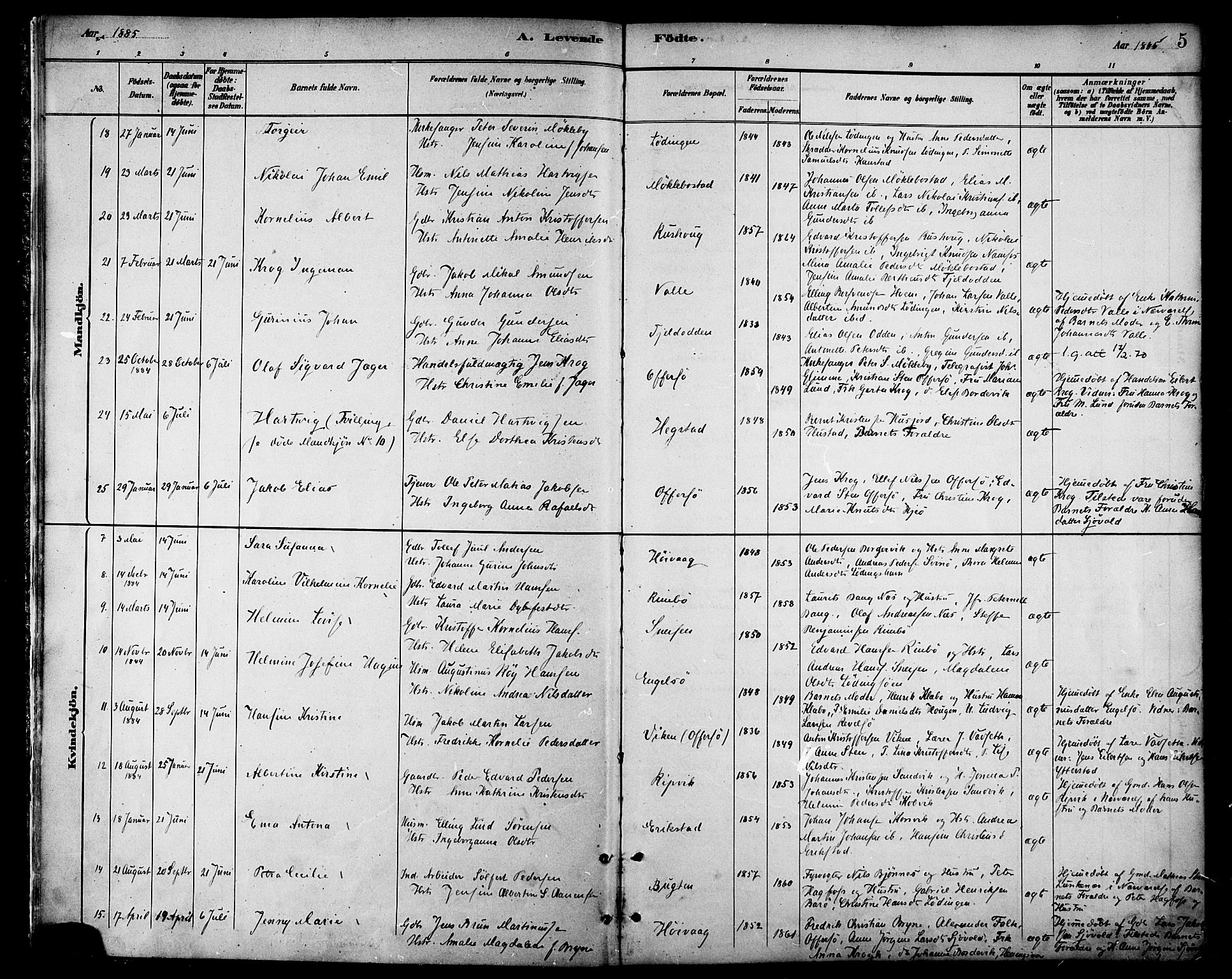 Ministerialprotokoller, klokkerbøker og fødselsregistre - Nordland, SAT/A-1459/872/L1035: Parish register (official) no. 872A10, 1884-1896, p. 5