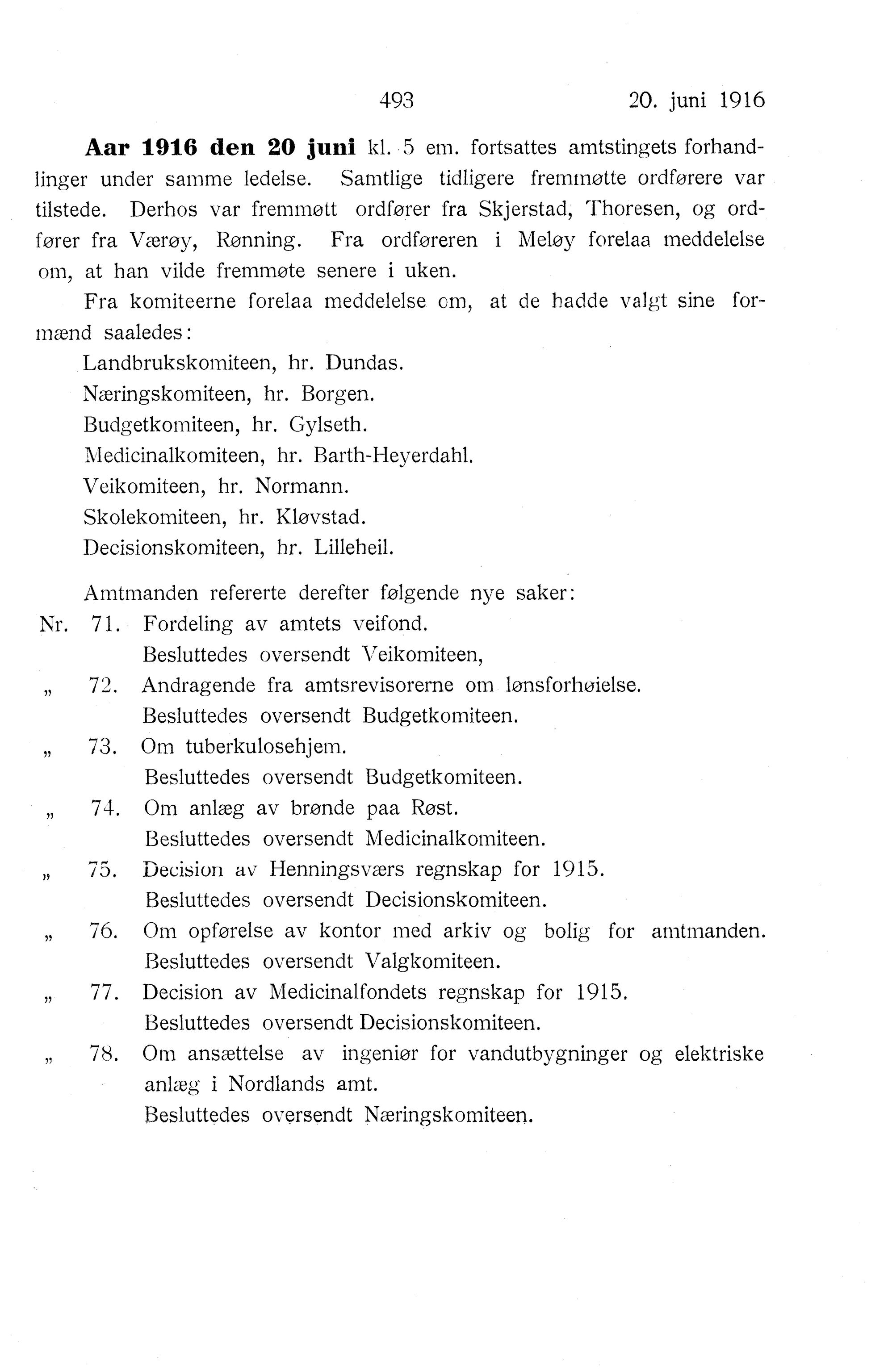 Nordland Fylkeskommune. Fylkestinget, AIN/NFK-17/176/A/Ac/L0039: Fylkestingsforhandlinger 1916, 1916, p. 493