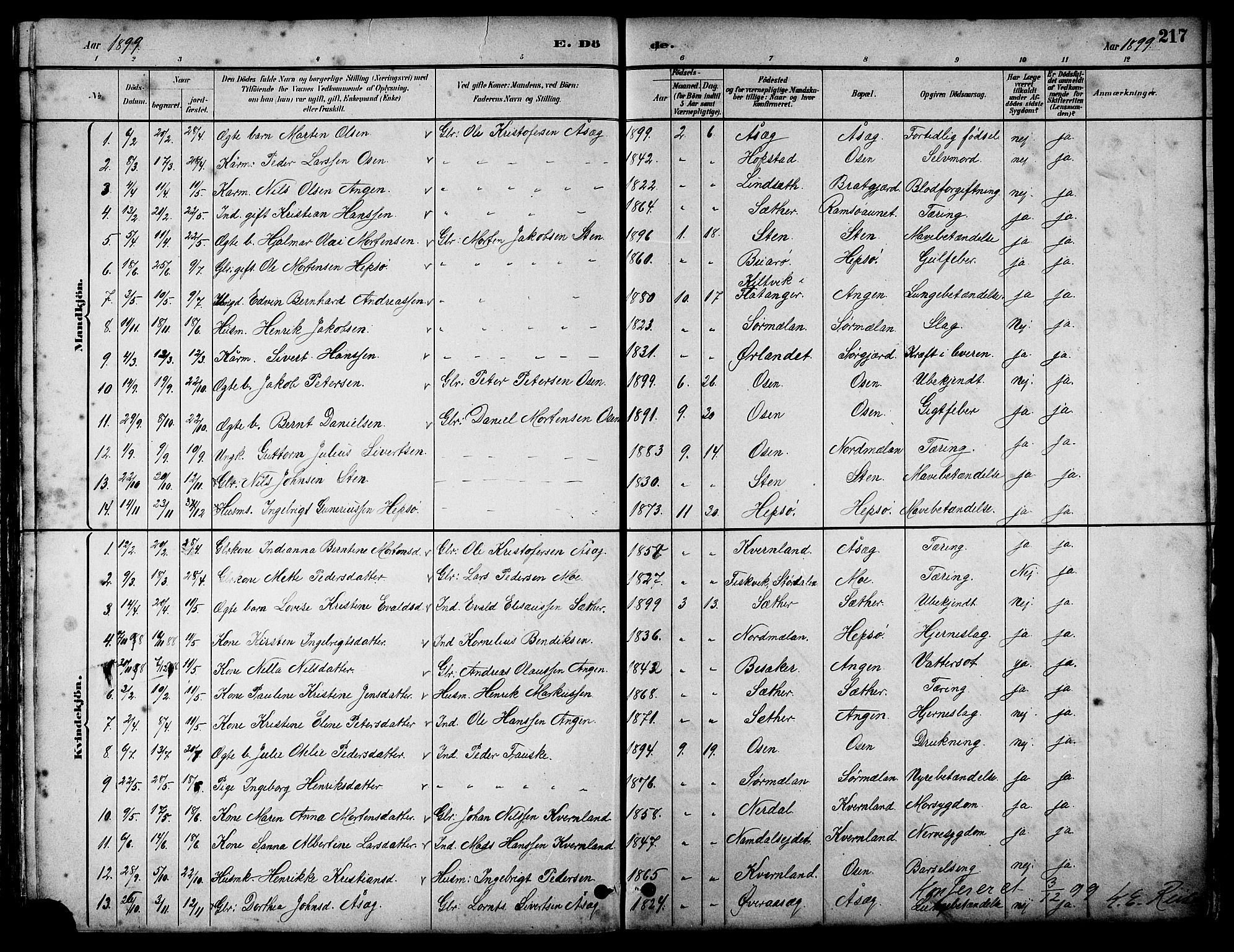 Ministerialprotokoller, klokkerbøker og fødselsregistre - Sør-Trøndelag, SAT/A-1456/658/L0726: Parish register (copy) no. 658C02, 1883-1908, p. 217