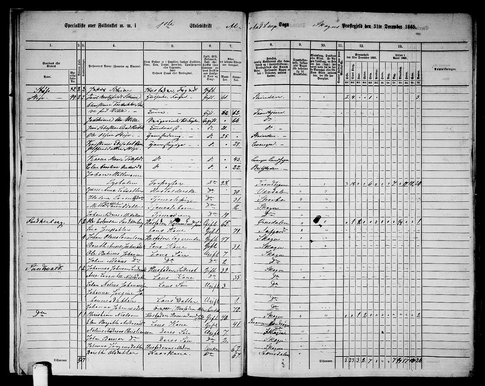 RA, 1865 census for Skogn, 1865, p. 16