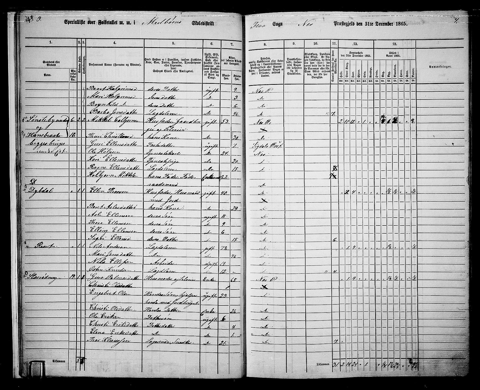 RA, 1865 census for Nes, 1865, p. 18