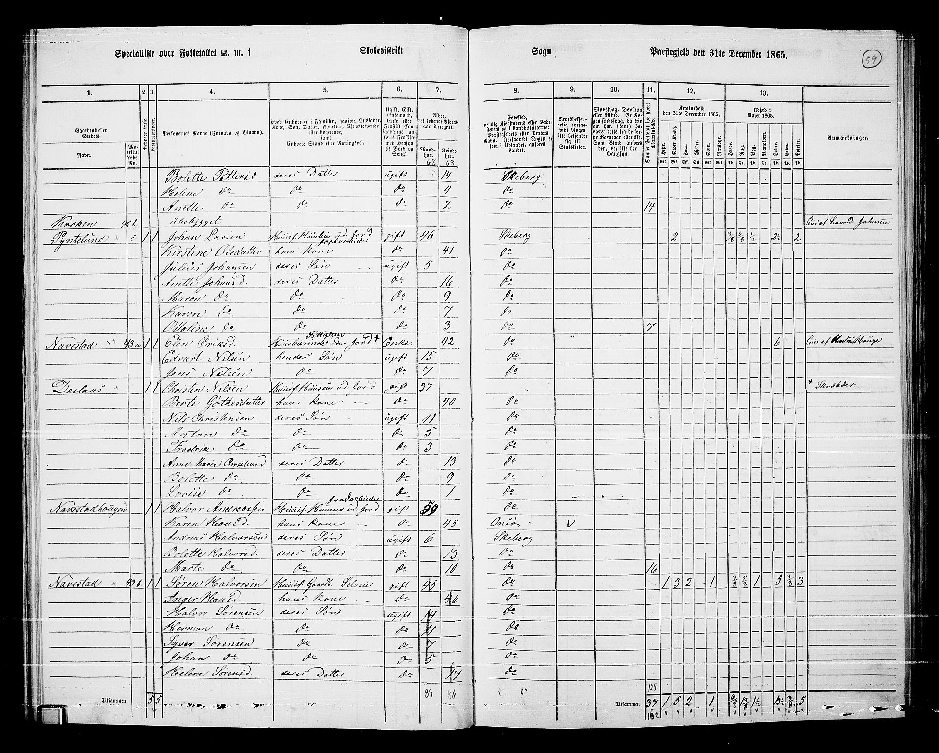 RA, 1865 census for Skjeberg, 1865, p. 55
