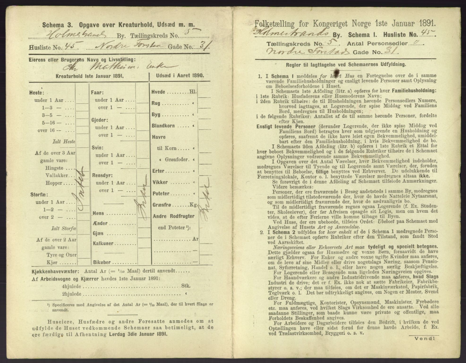 RA, 1891 census for 0702 Holmestrand, 1891, p. 482