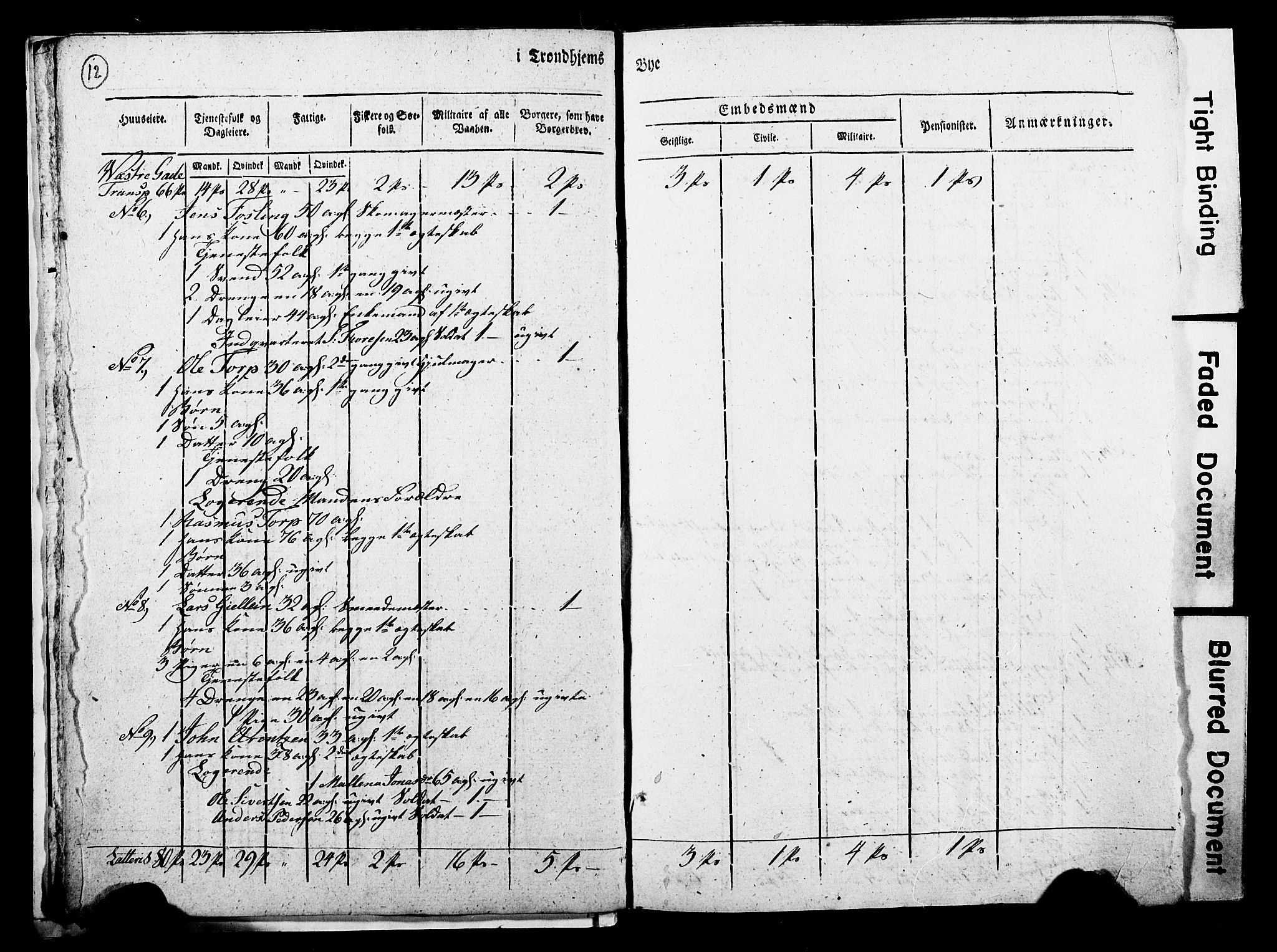 RA, Census 1815 for Trondheim, 1815, p. 11