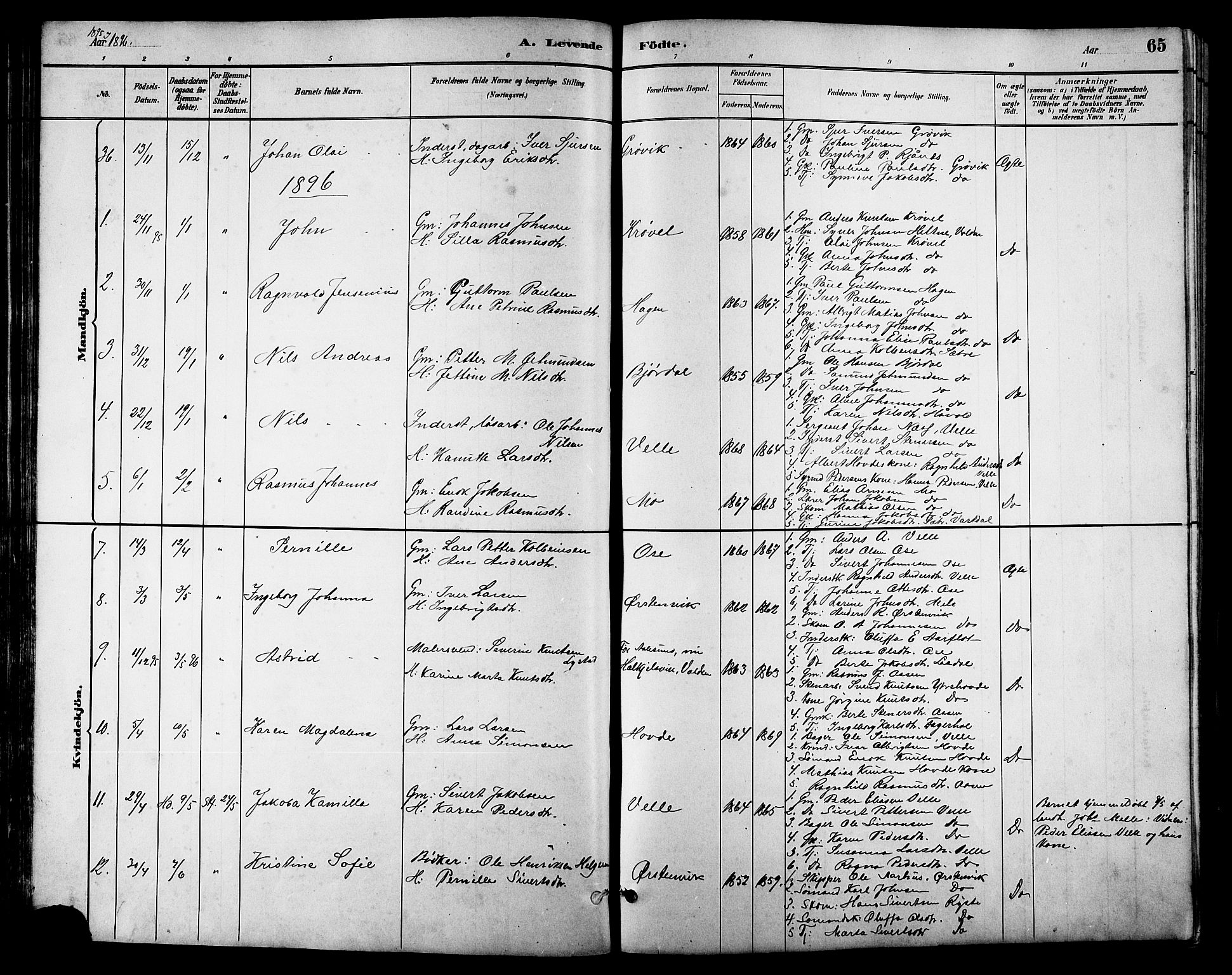 Ministerialprotokoller, klokkerbøker og fødselsregistre - Møre og Romsdal, AV/SAT-A-1454/513/L0189: Parish register (copy) no. 513C03, 1883-1904, p. 65