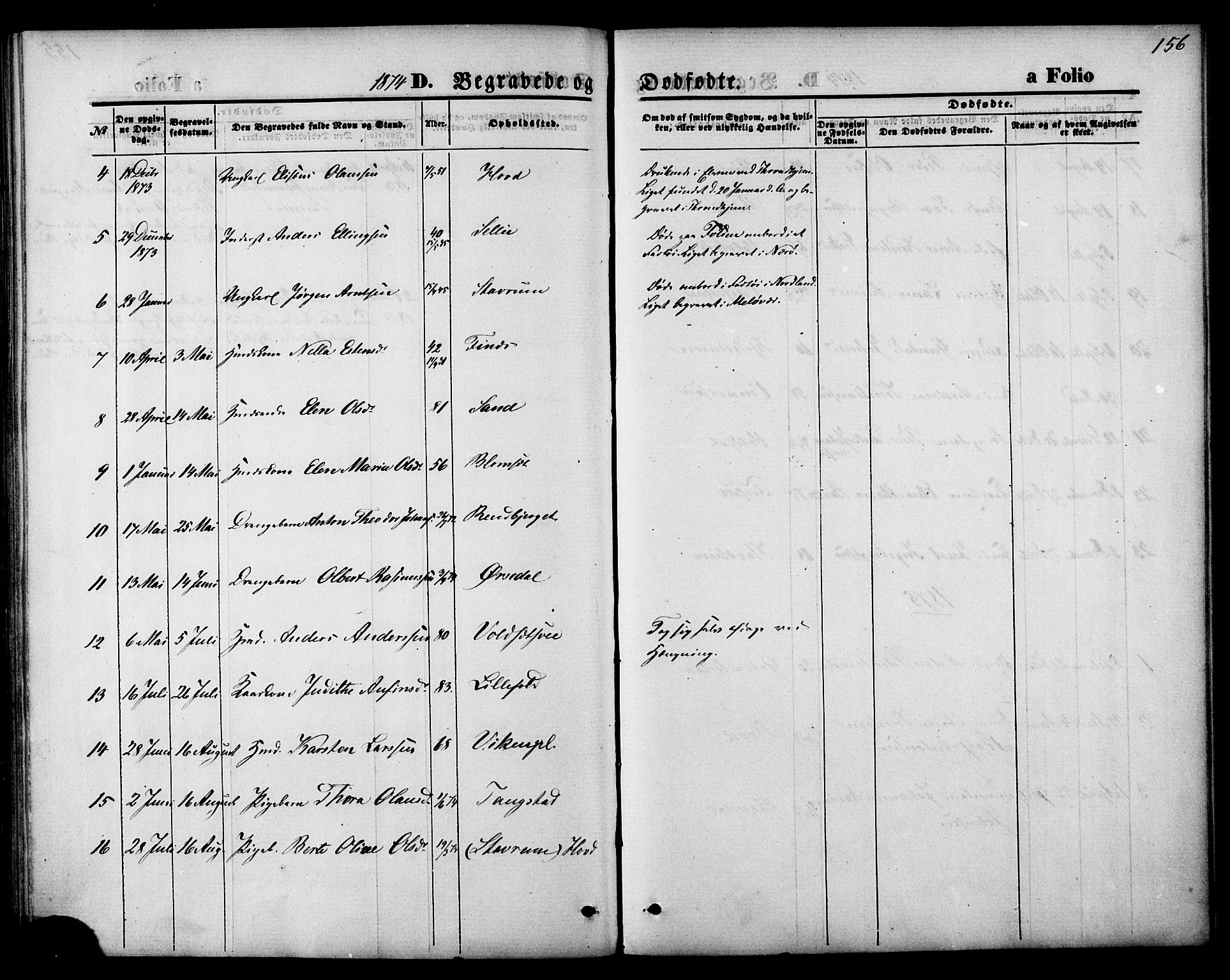 Ministerialprotokoller, klokkerbøker og fødselsregistre - Nord-Trøndelag, AV/SAT-A-1458/744/L0419: Parish register (official) no. 744A03, 1867-1881, p. 156