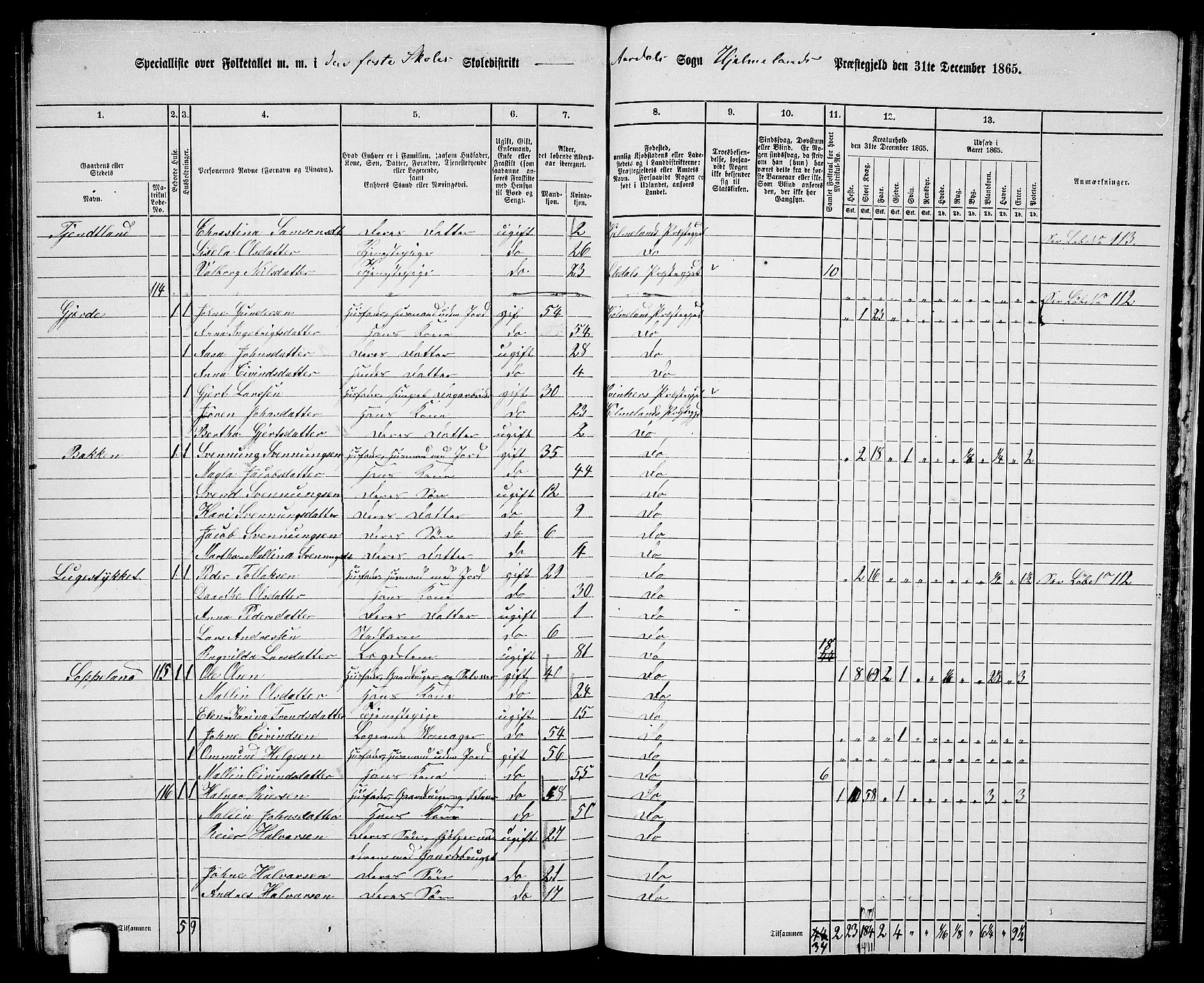 RA, 1865 census for Hjelmeland, 1865, p. 186