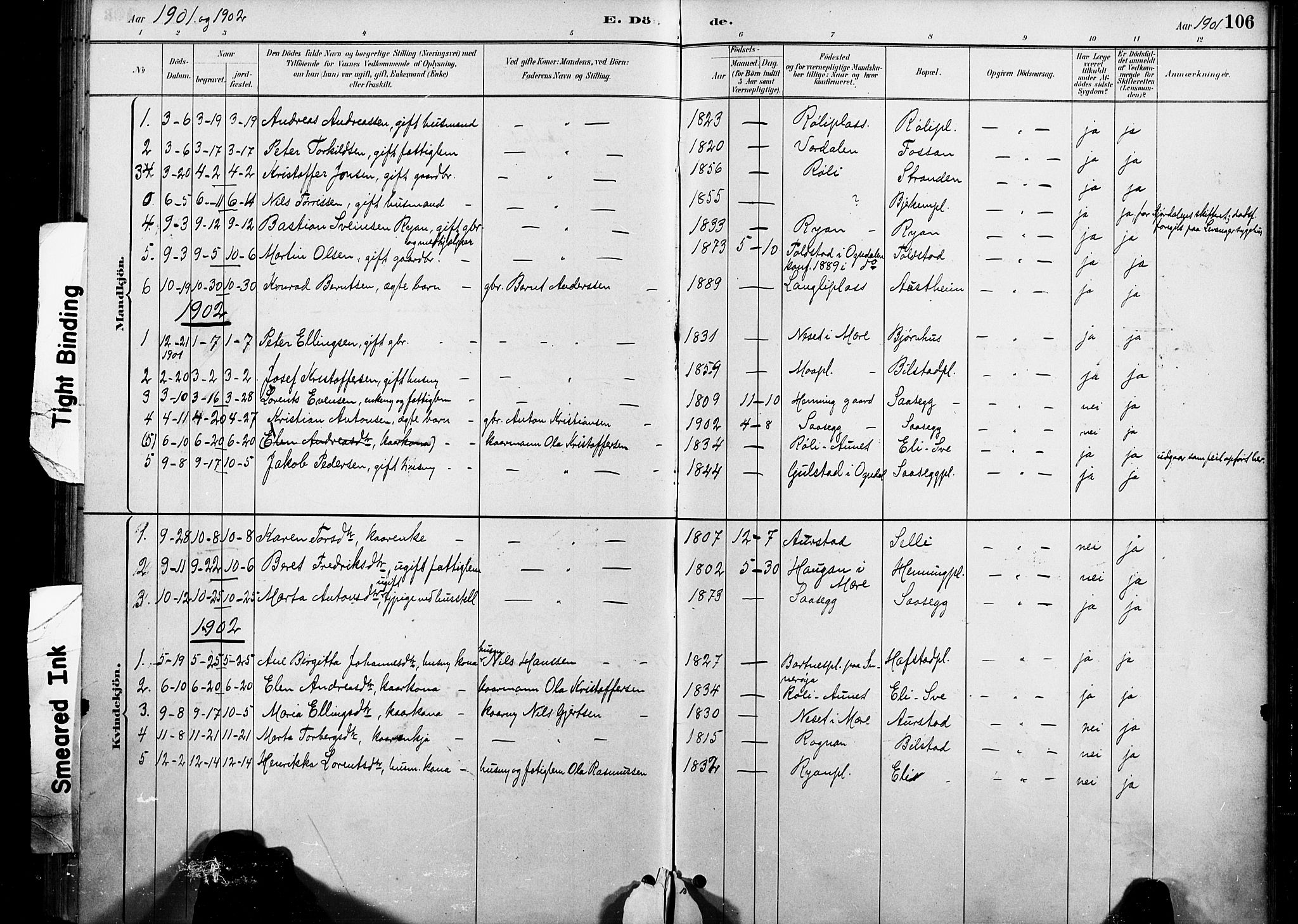 Ministerialprotokoller, klokkerbøker og fødselsregistre - Nord-Trøndelag, AV/SAT-A-1458/738/L0364: Parish register (official) no. 738A01, 1884-1902, p. 106