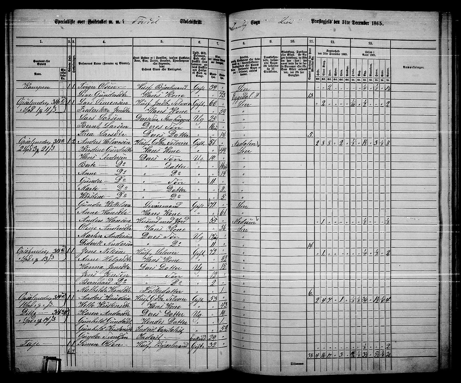 RA, 1865 census for Lier, 1865, p. 173