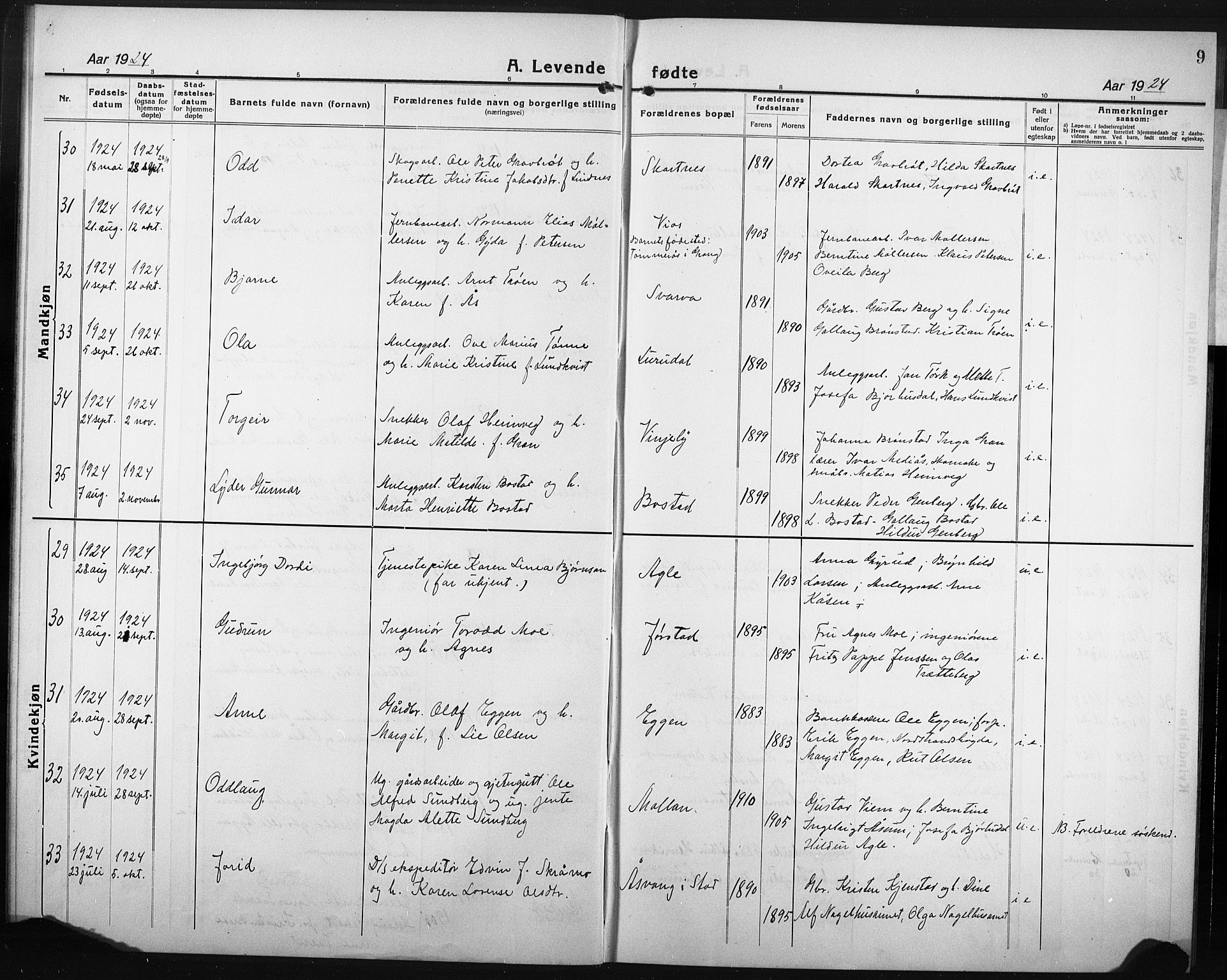 Ministerialprotokoller, klokkerbøker og fødselsregistre - Nord-Trøndelag, AV/SAT-A-1458/749/L0480: Parish register (copy) no. 749C02, 1924-1932, p. 9