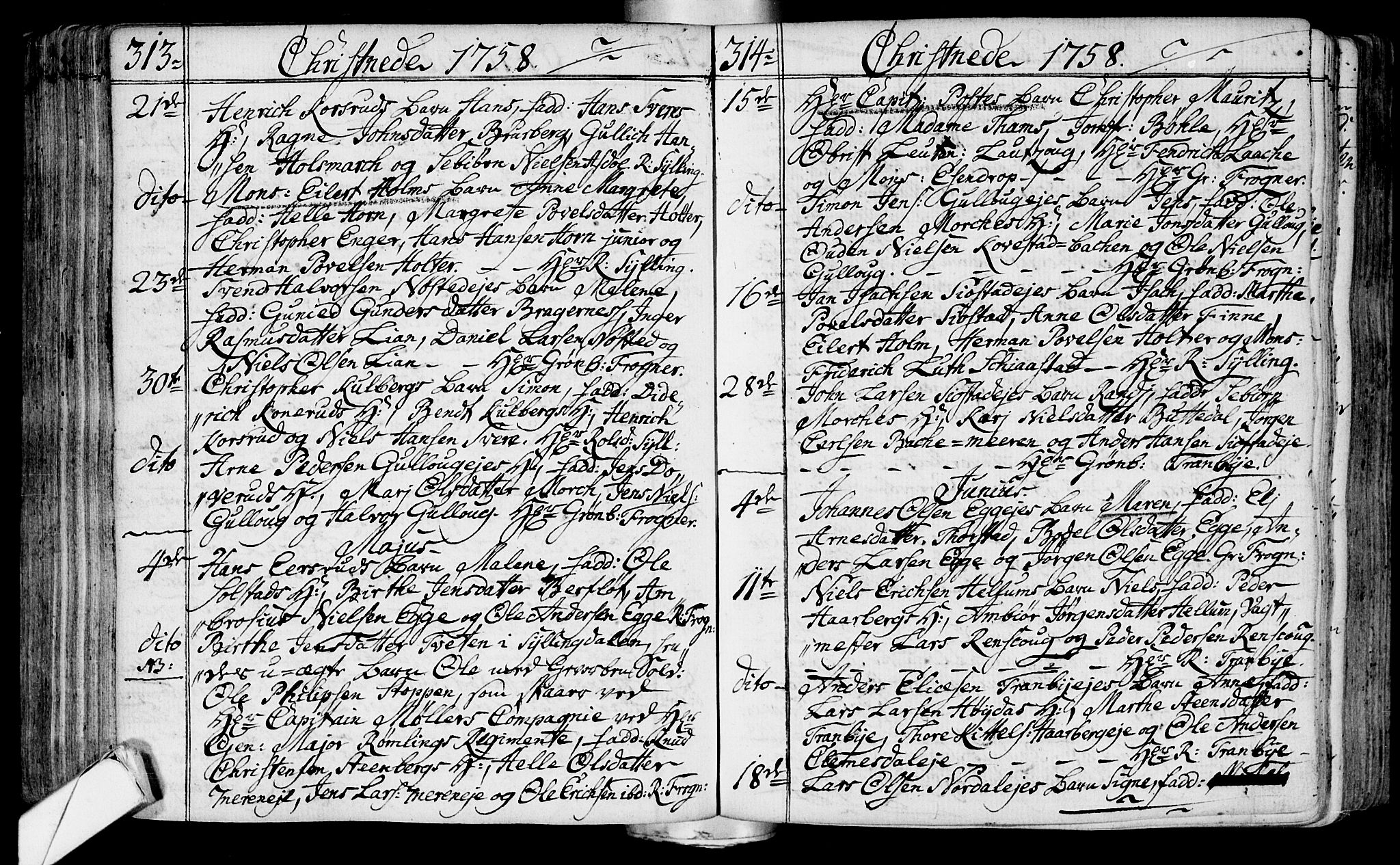 Lier kirkebøker, AV/SAKO-A-230/F/Fa/L0004: Parish register (official) no. I 4, 1749-1764, p. 313-314