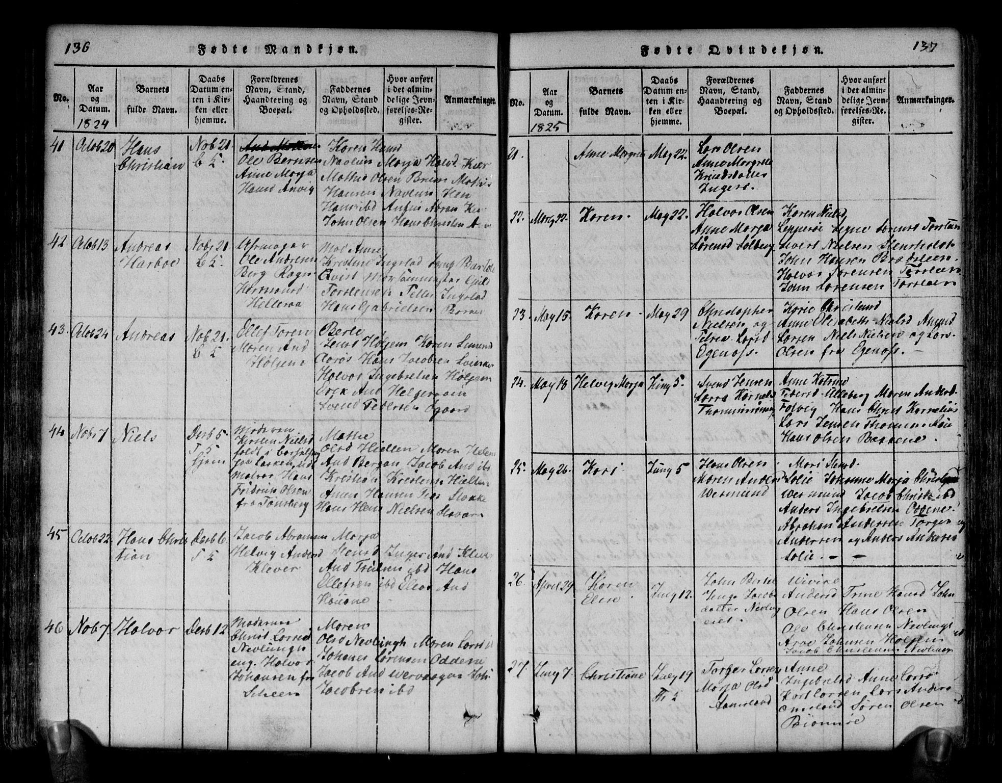 Brunlanes kirkebøker, AV/SAKO-A-342/G/Ga/L0001: Parish register (copy) no. I 1, 1814-1834, p. 136-137