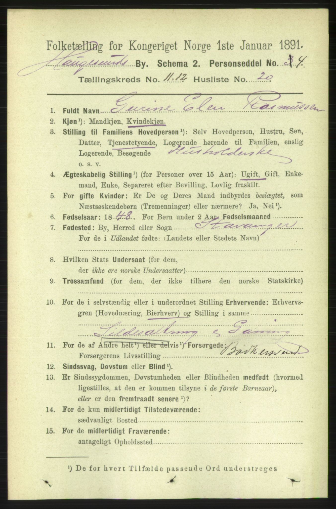 RA, 1891 census for 1106 Haugesund, 1891, p. 4195