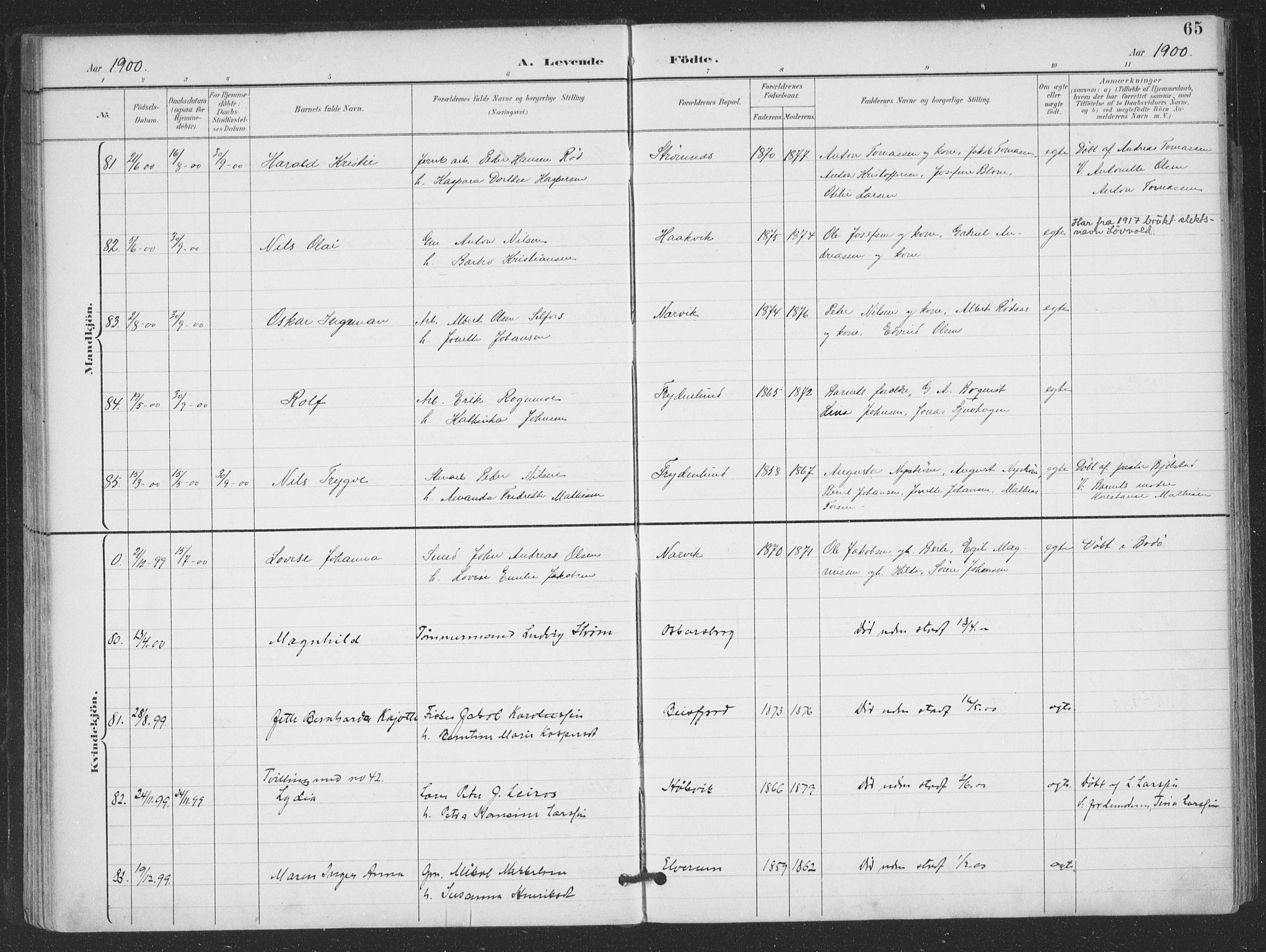 Ministerialprotokoller, klokkerbøker og fødselsregistre - Nordland, AV/SAT-A-1459/866/L0939: Parish register (official) no. 866A02, 1894-1906, p. 65