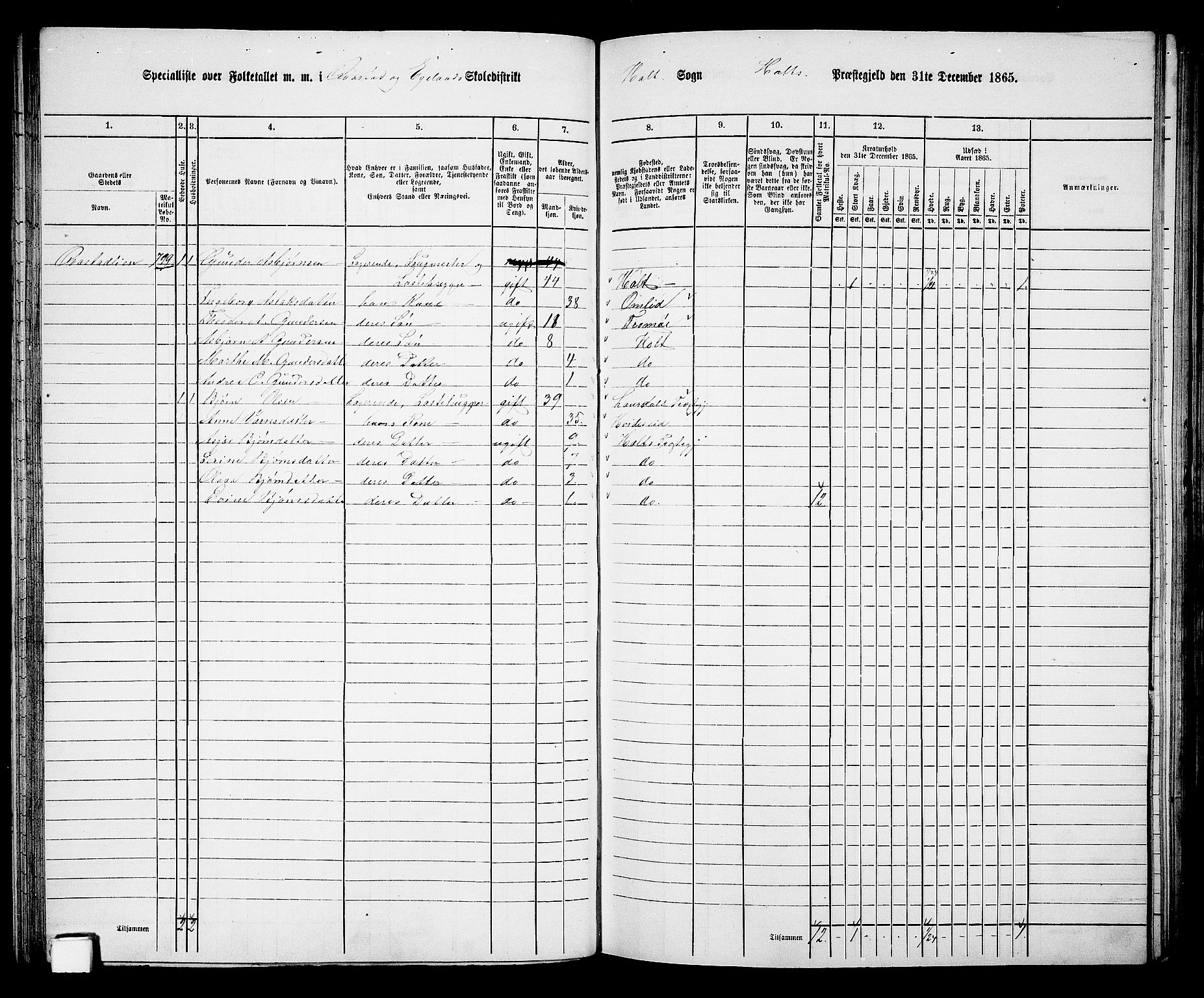 RA, 1865 census for Holt/Holt, 1865, p. 68